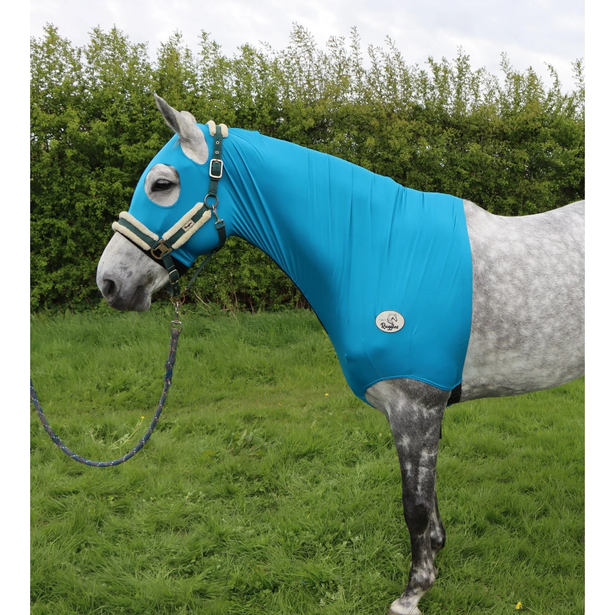 Lycra Hood With Zip - Available With or Without Ears - Image 6