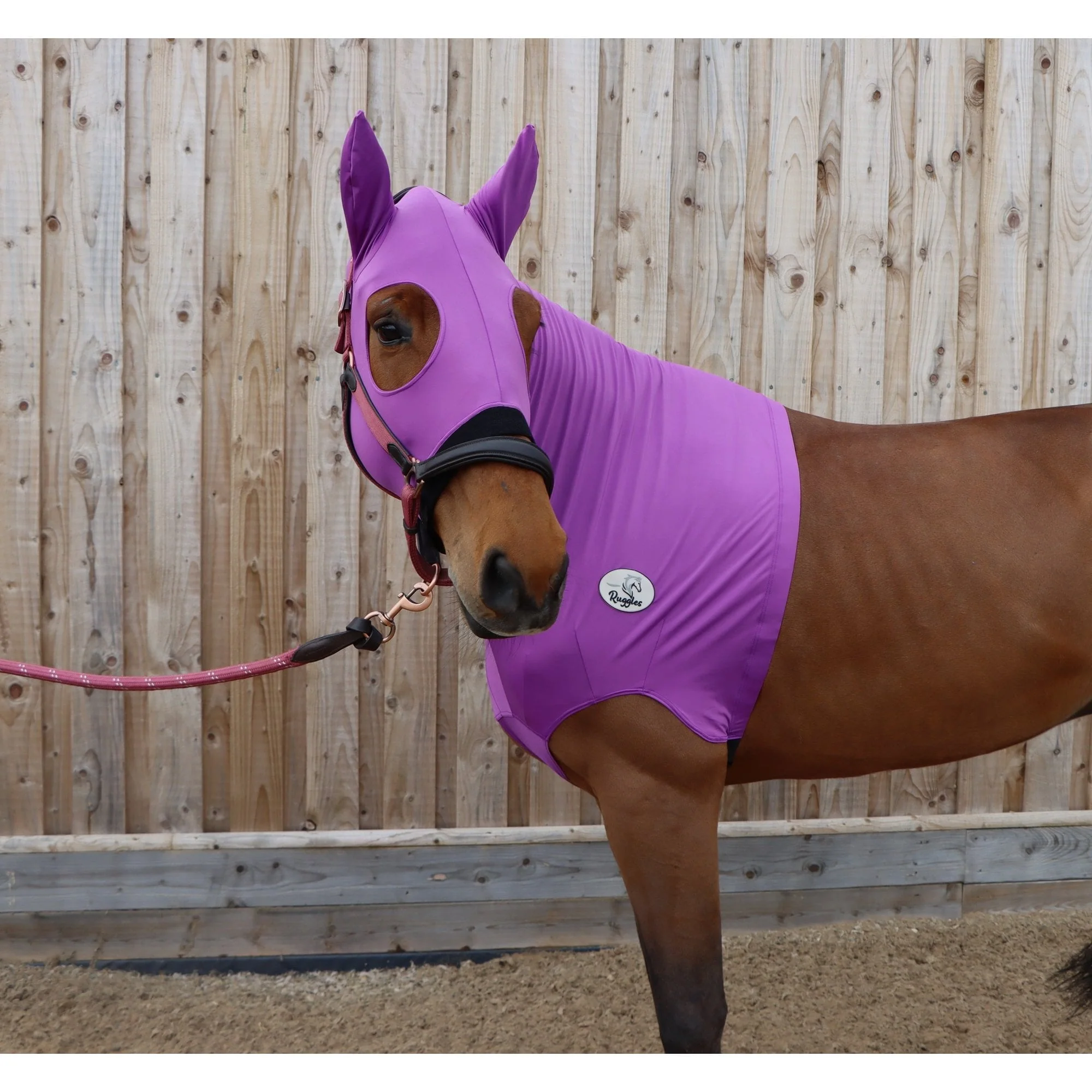 Lycra Hood With Zip - Available With or Without Ears - Image 7
