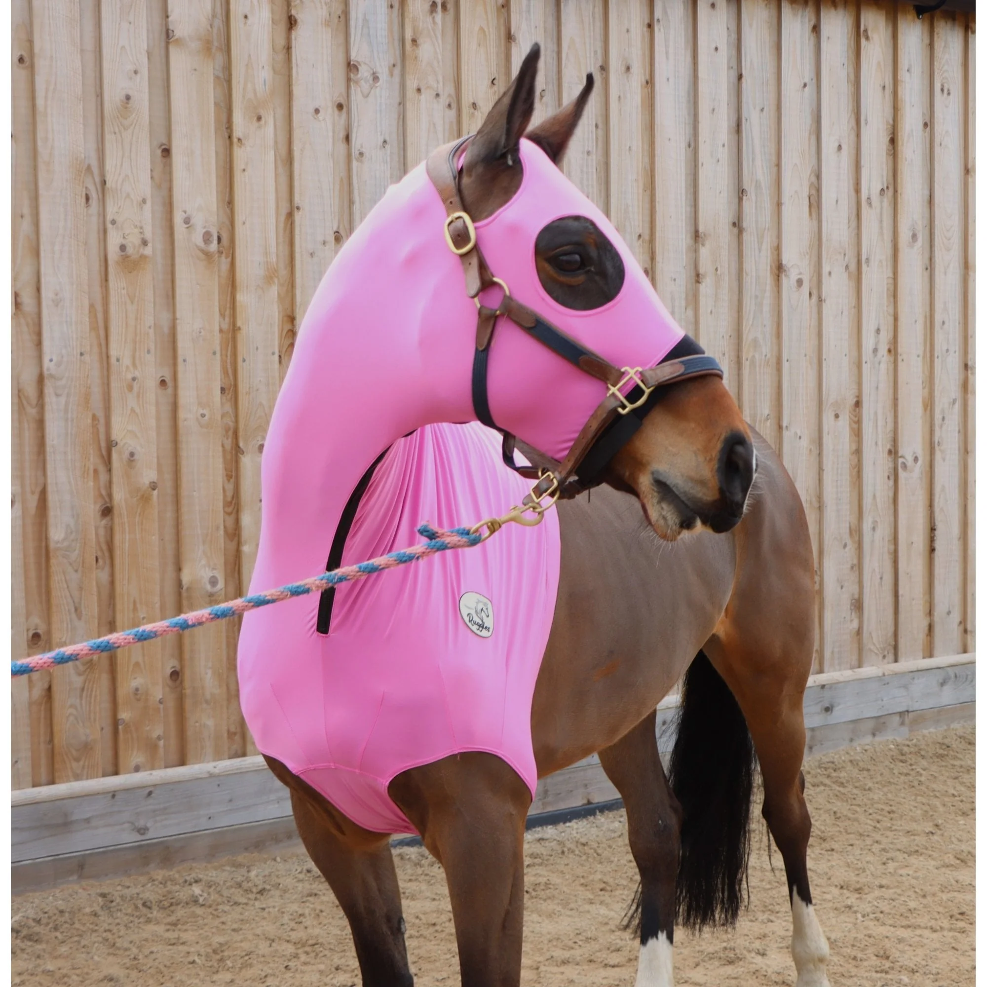 Lycra Hood With Zip - Available With or Without Ears - Image 8