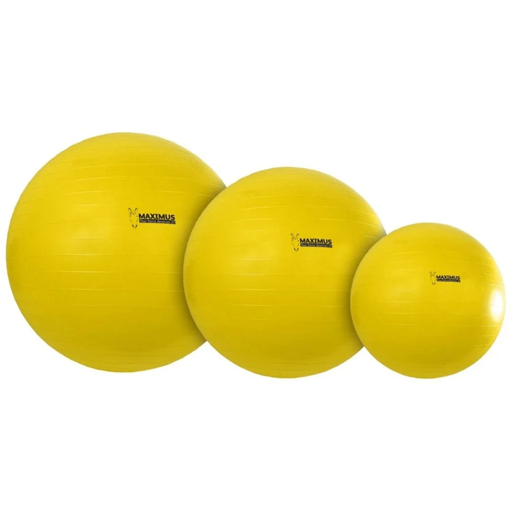 Maximus Power Play Ball - Image 4