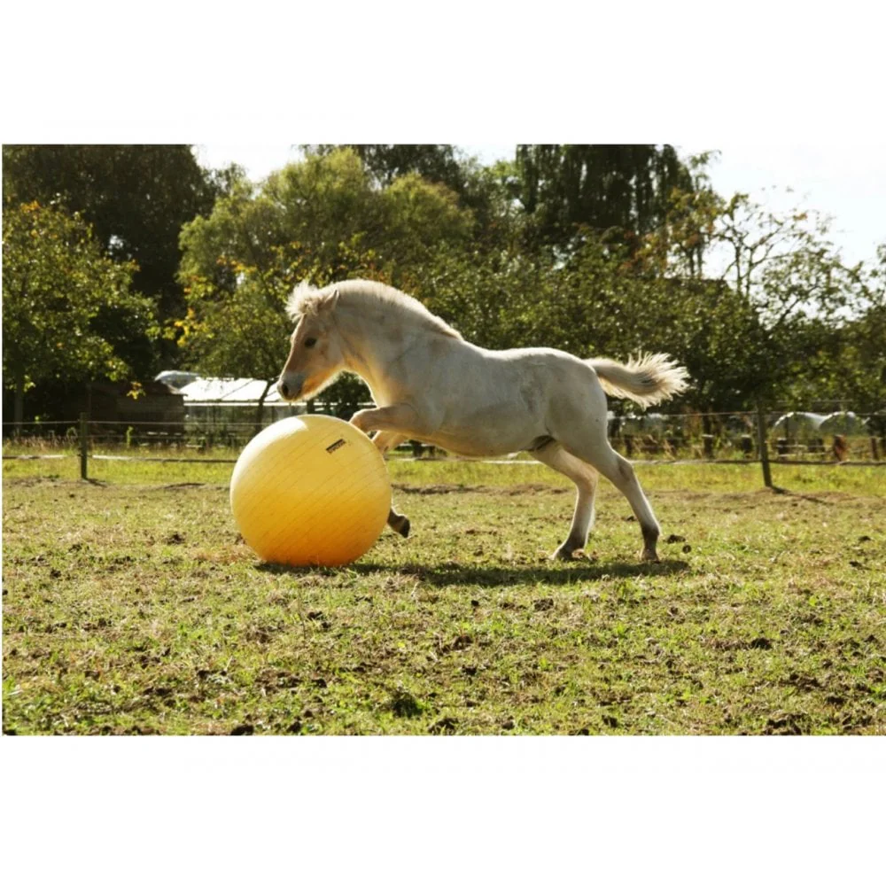 Maximus Power Play Ball - Image 5