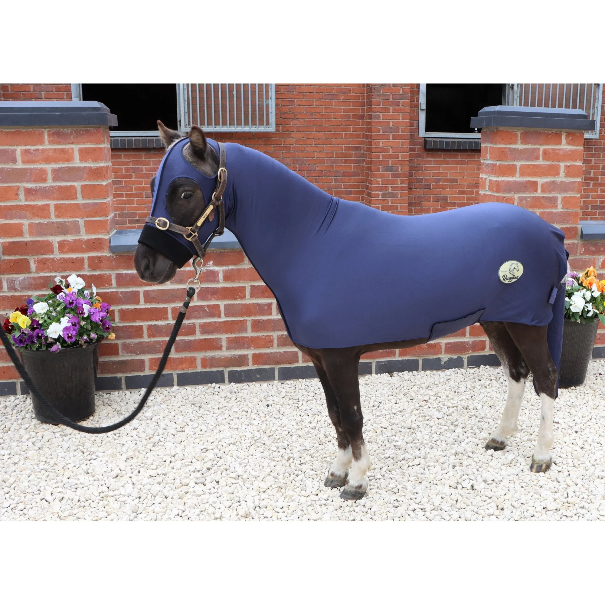Miniature Horse Lycra Body Suit With Tail Cover - Image 6