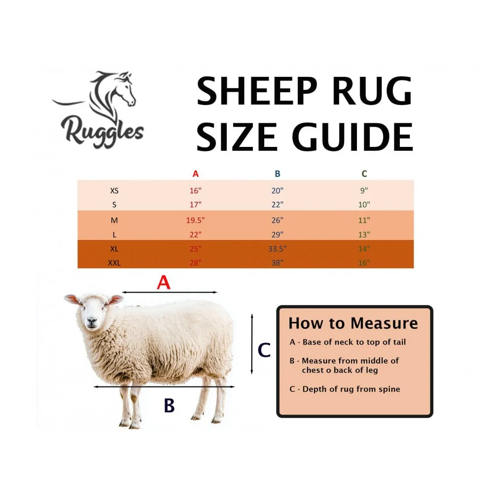 Sheep Rug - Image 5