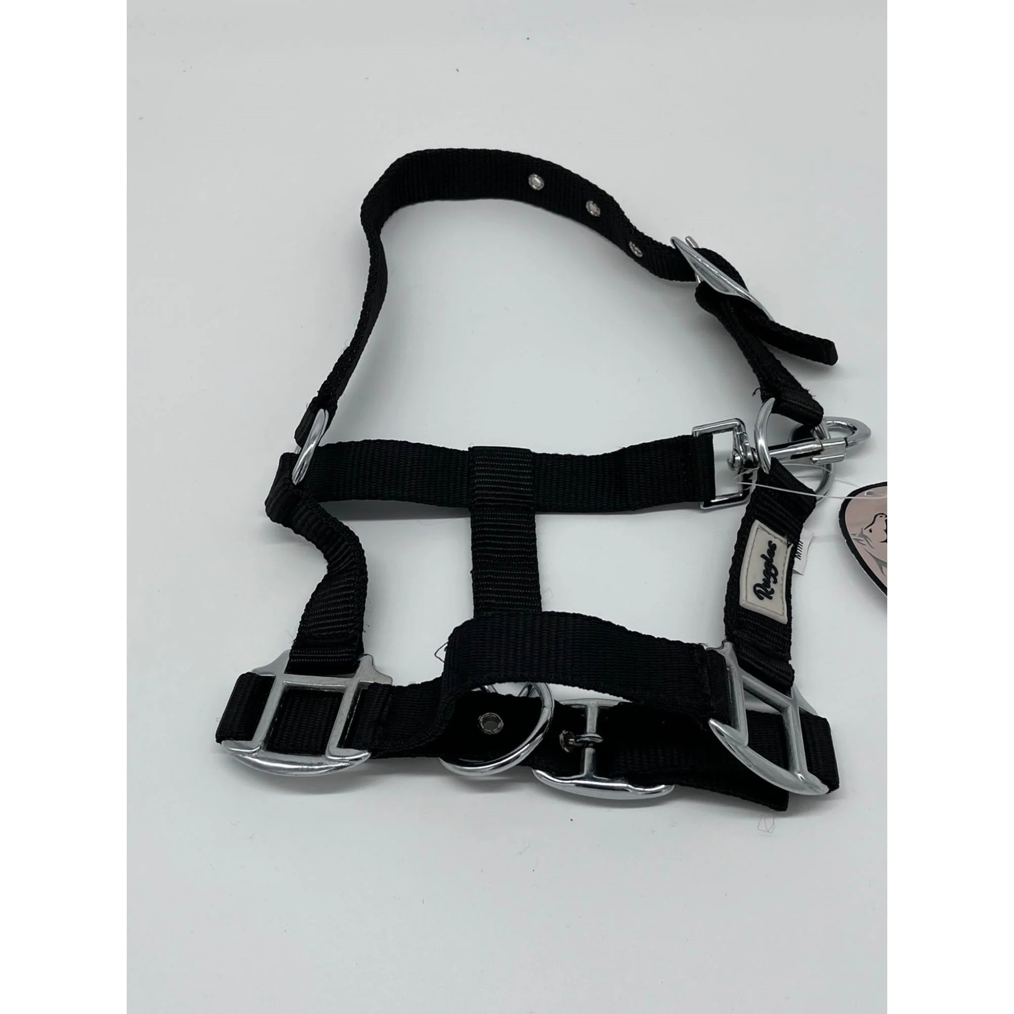 Shetland And Mini Adjustable Head Collar - 1" Webbing - Image 4