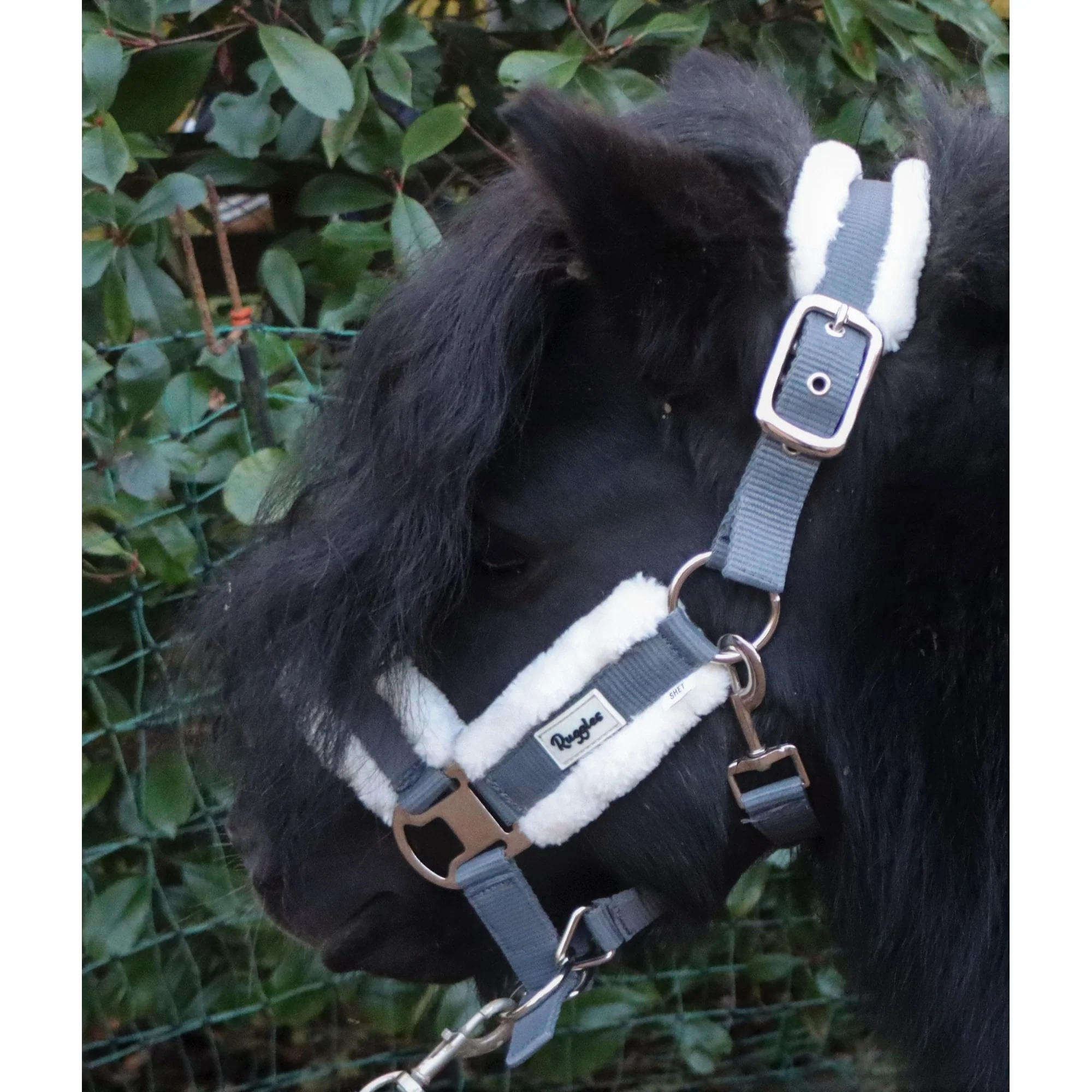 Shetland Head Collar With Contrast Fur - Image 8