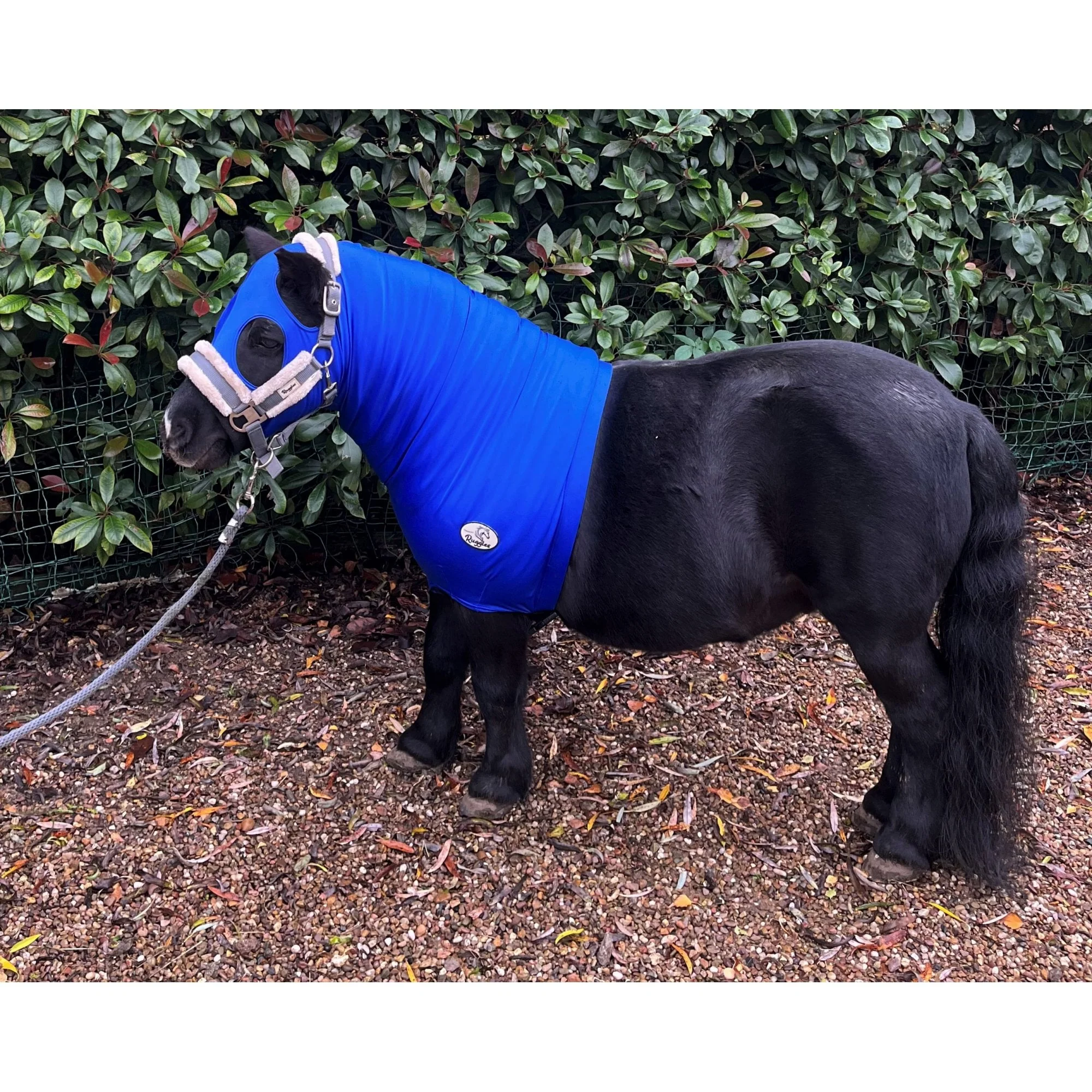 Shetland Lycra Hood With Zip - Image 3