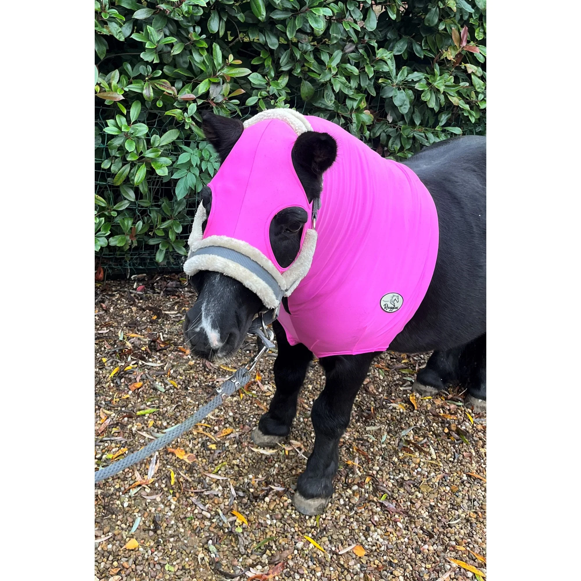 Shetland Lycra Hood With Zip - Image 4