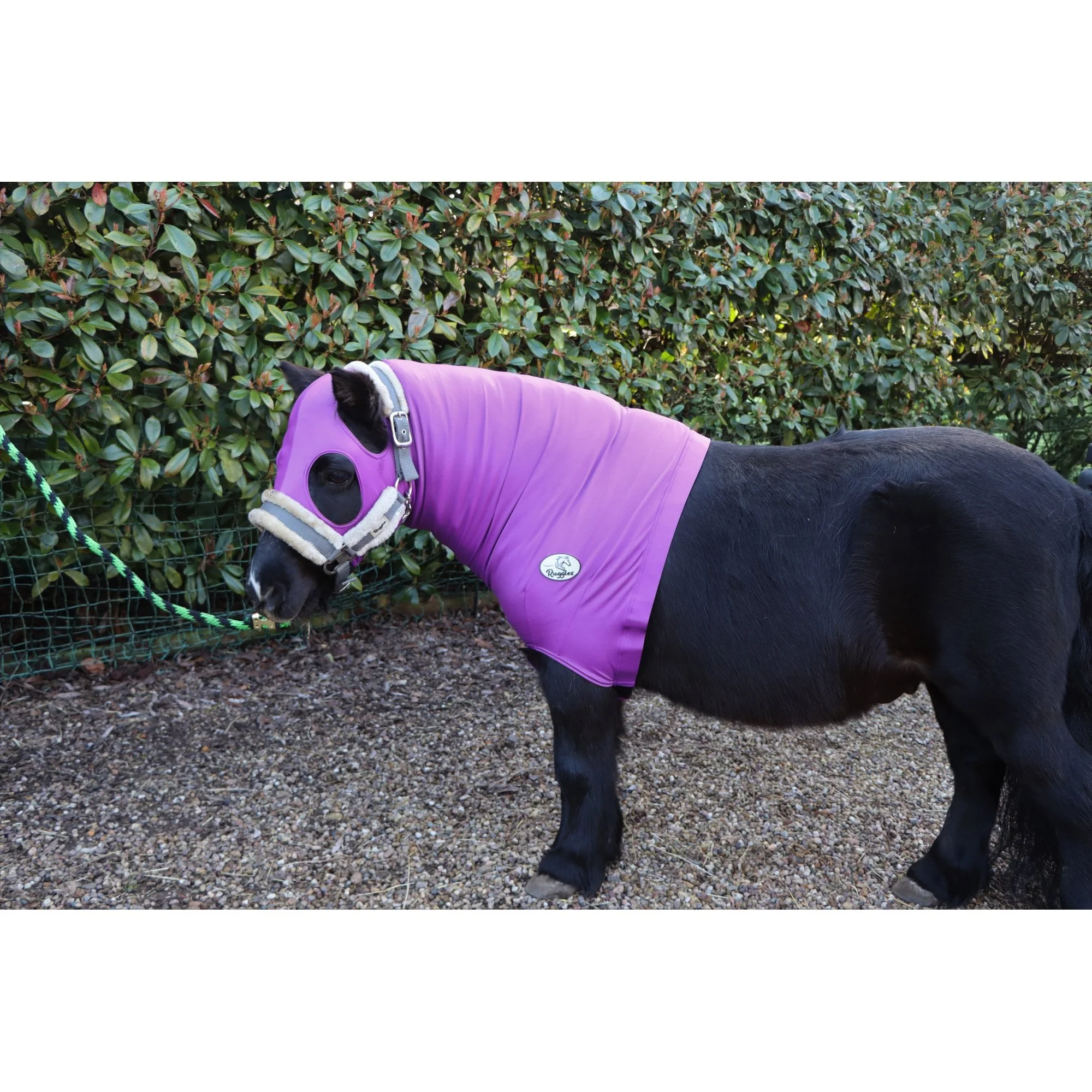 Shetland Lycra Hood With Zip - Image 5