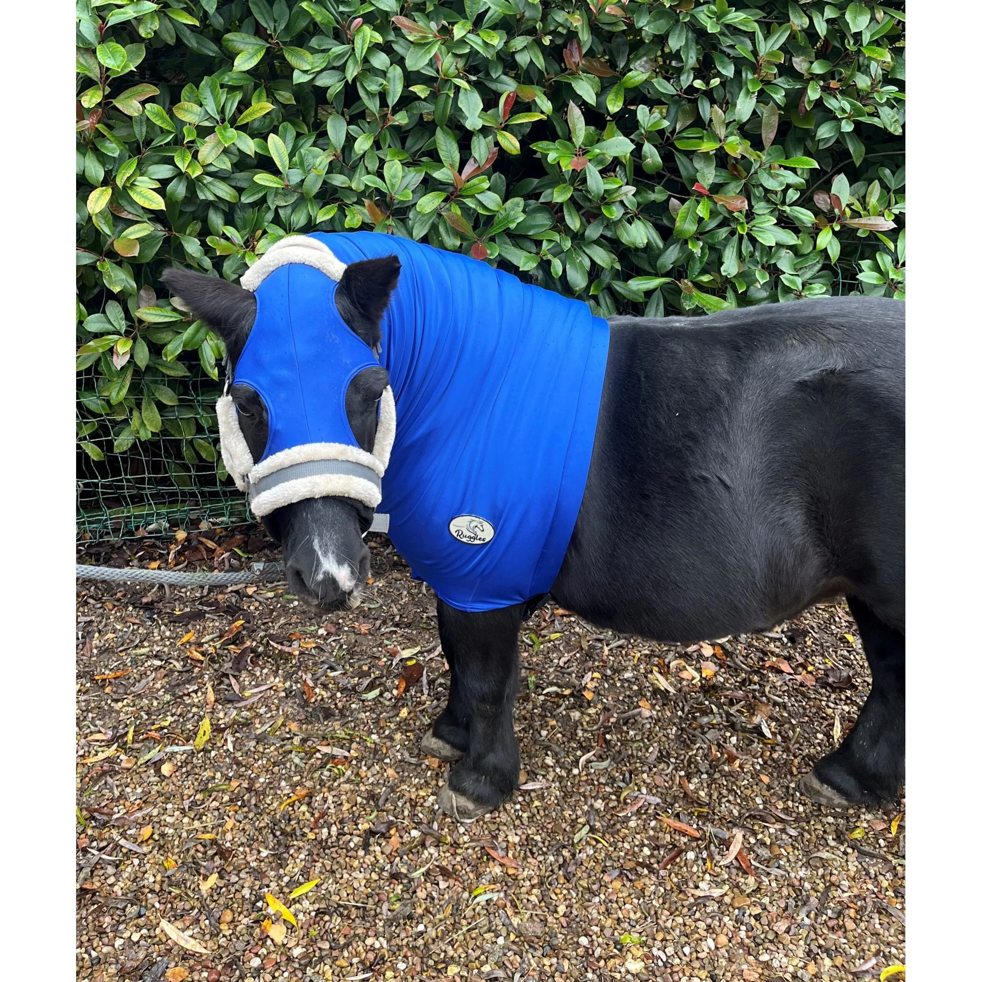 Shetland Lycra Hood With Zip - Image 6