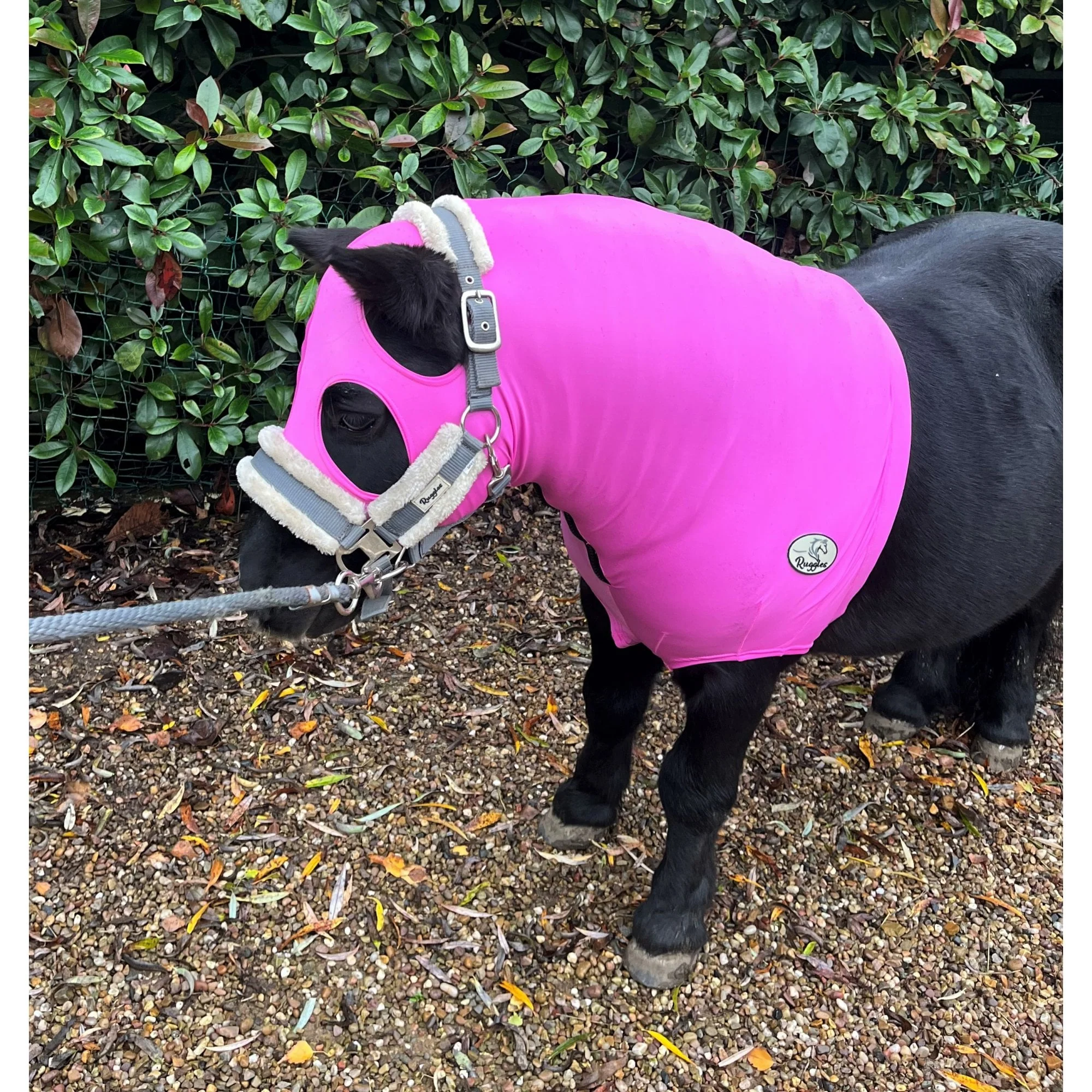 Shetland Lycra Hood With Zip - Image 8