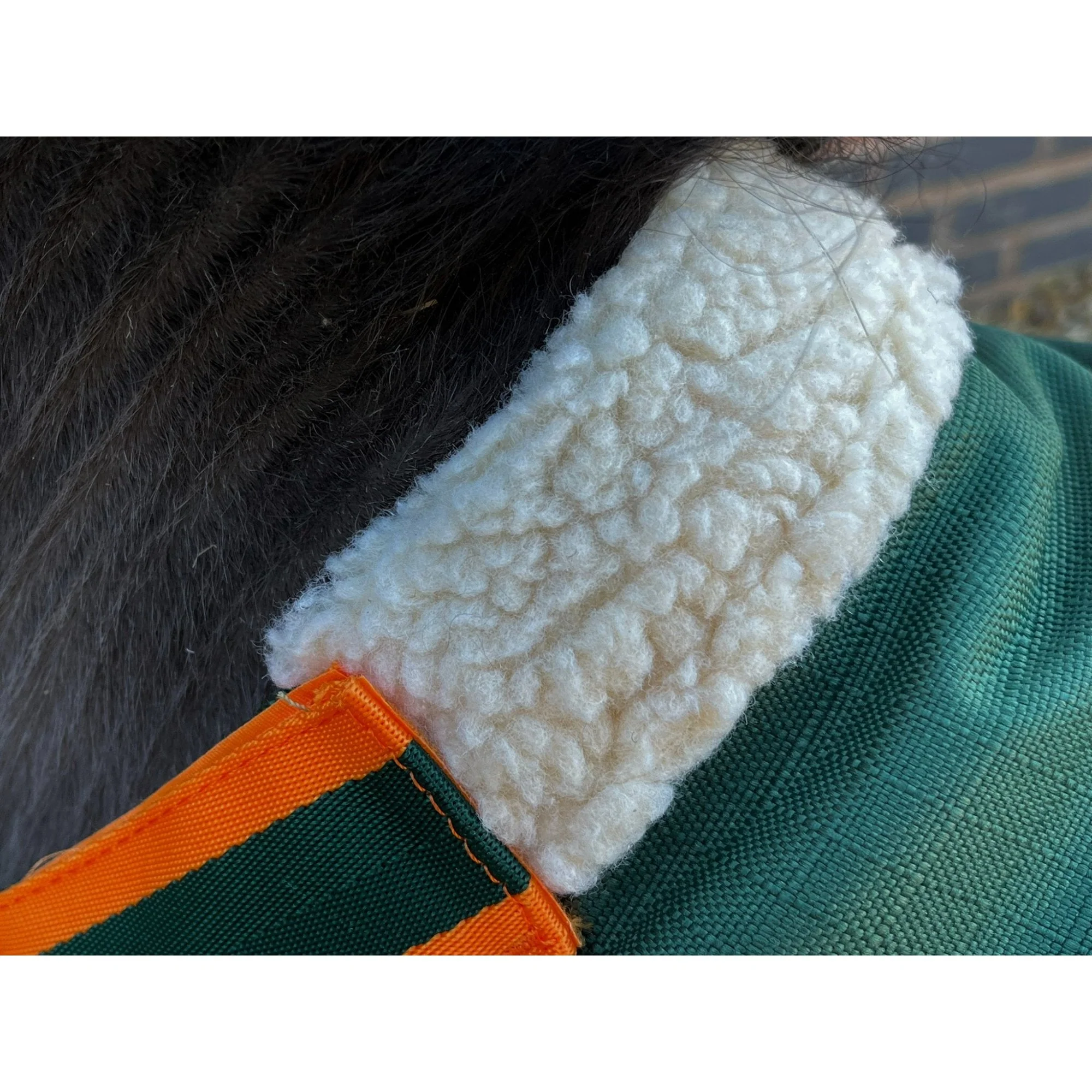 Shetland-Miniature-Donkey 400g V2 Turnout Rug - Image 3