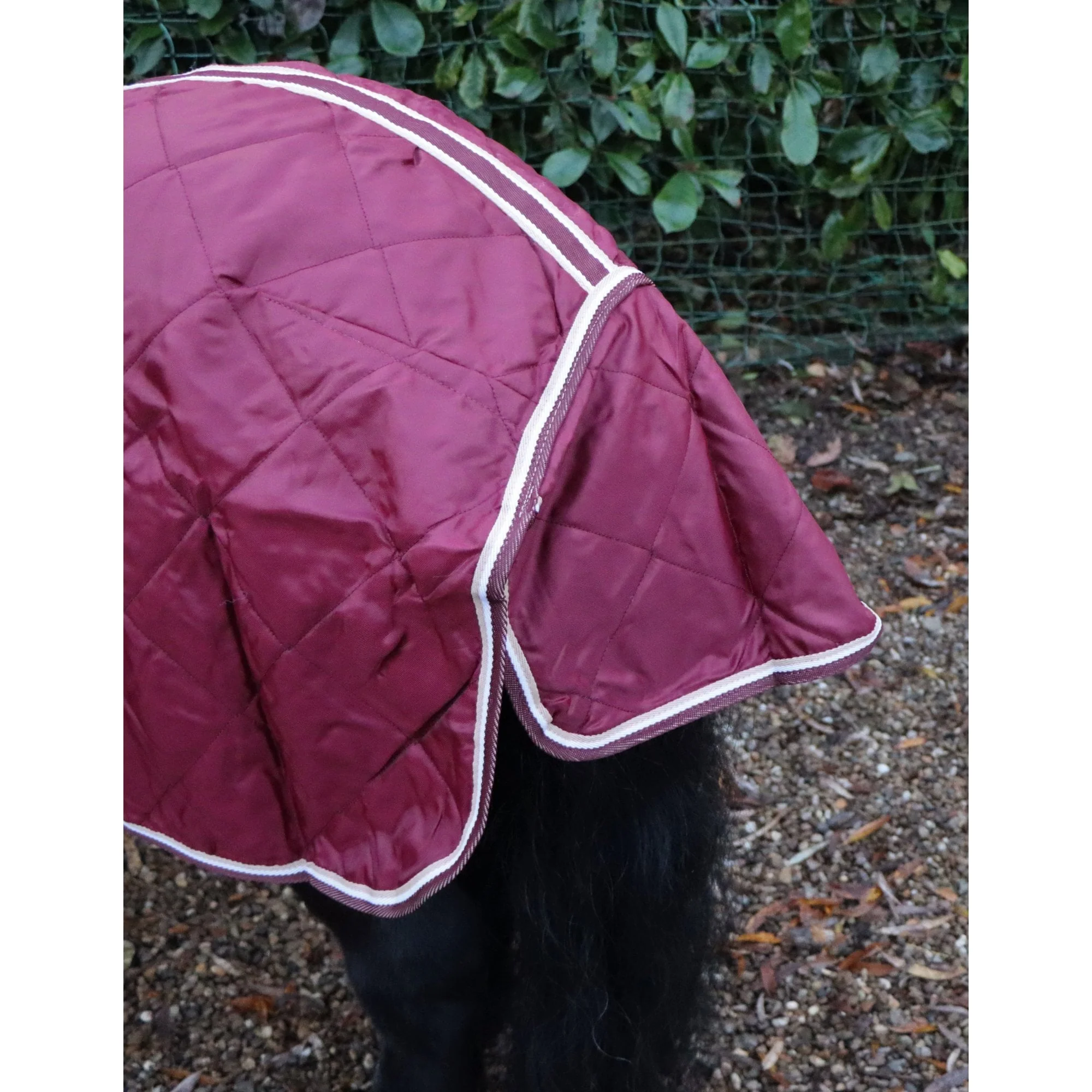 Shetland-Miniature-Donkey 50g Stable Rug - Image 3