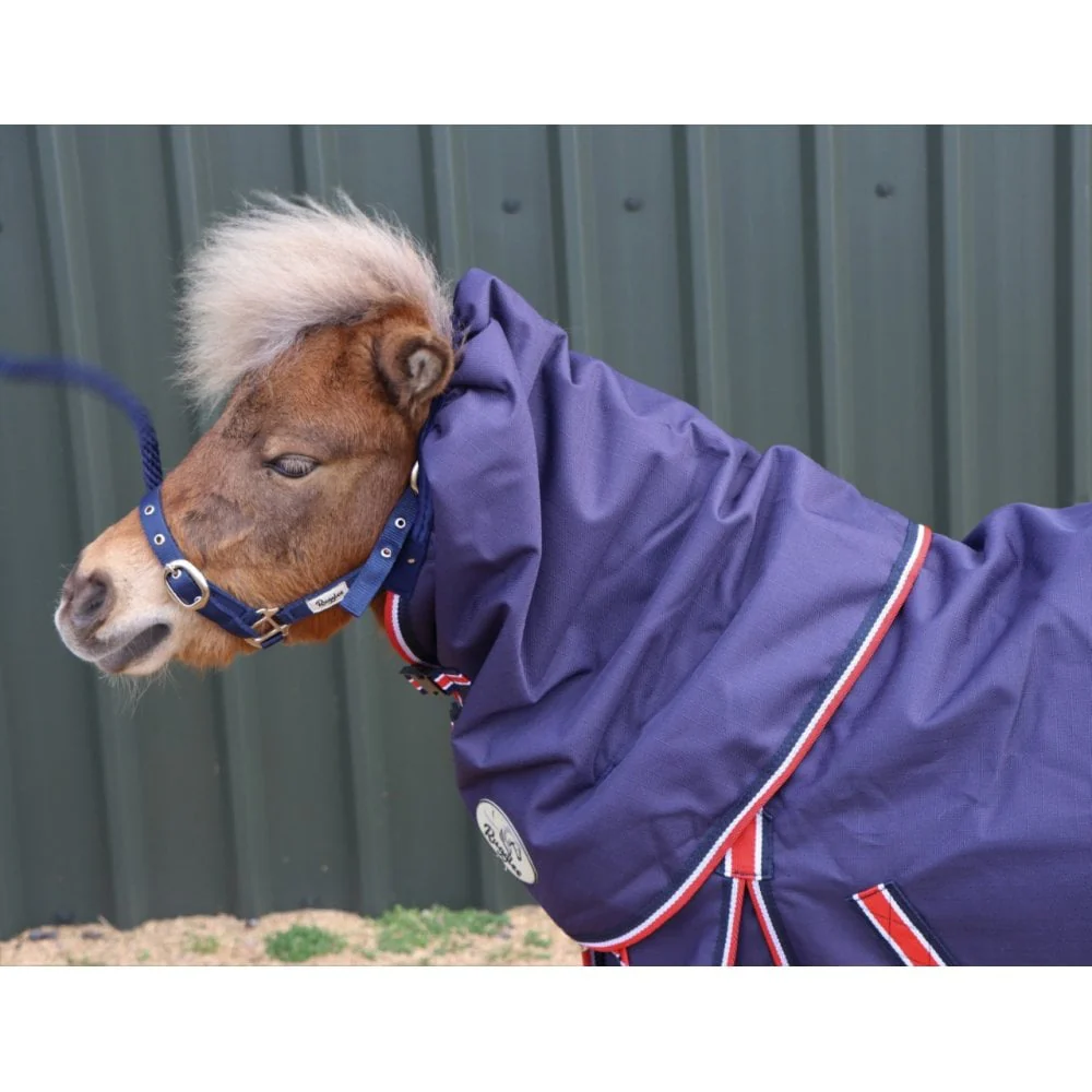 Shetland-Miniature-Donkey 50g V2 Neck Cover Only (Matching Rug Available Separately) - Image 3