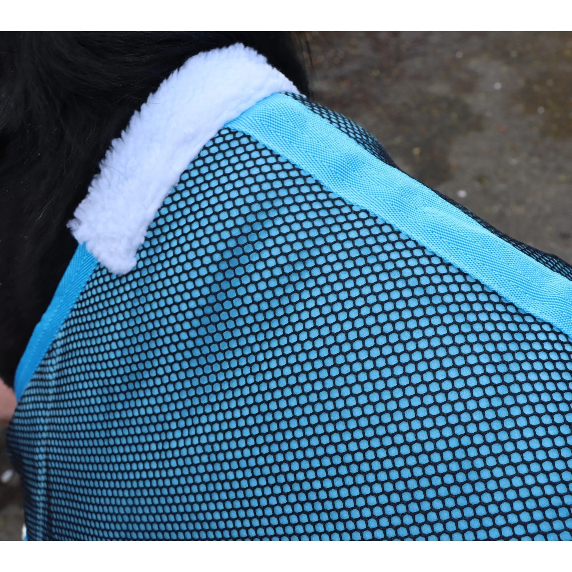 Shetland-Miniature-Donkey Mesh Cooler Rug - Image 9