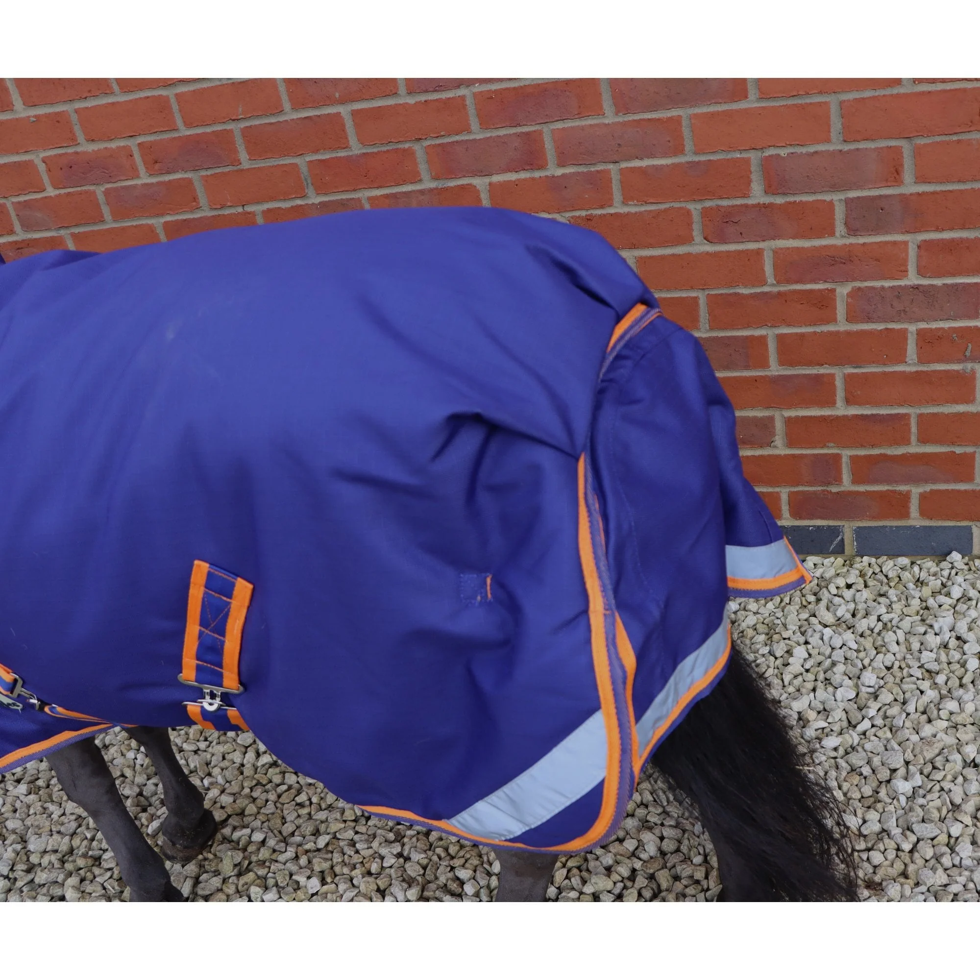 Shetland-Miniature-Donkey-Section A 400g Heavyweight 1200D Combo Turnout - Image 9