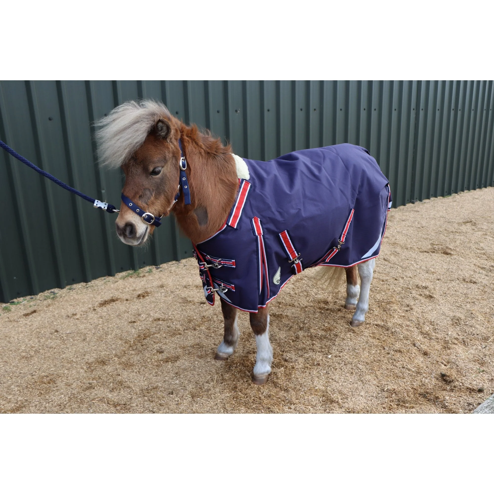 Shetland-Miniature-Donkey-Section A 50g V2 Turnout Rug - Image 10