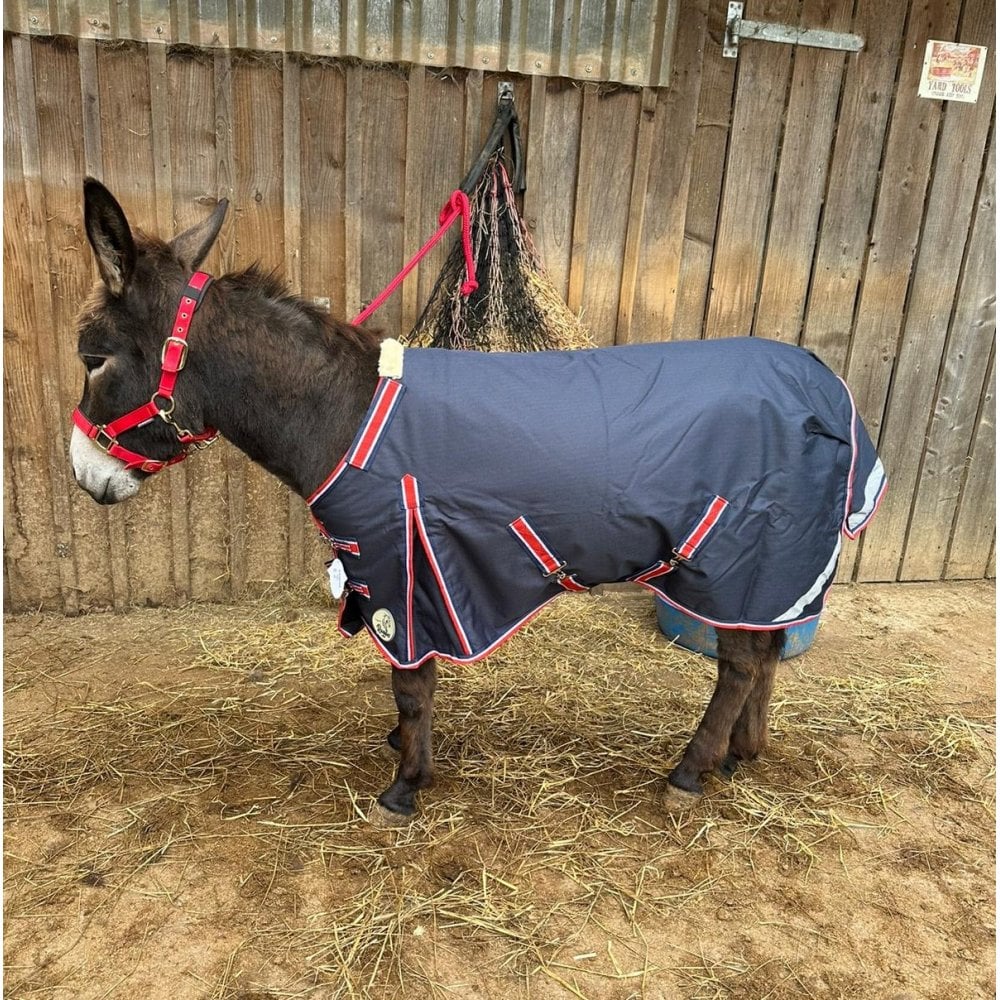 Shetland-Miniature-Donkey-Section A 50g V2 Turnout Rug - Image 12