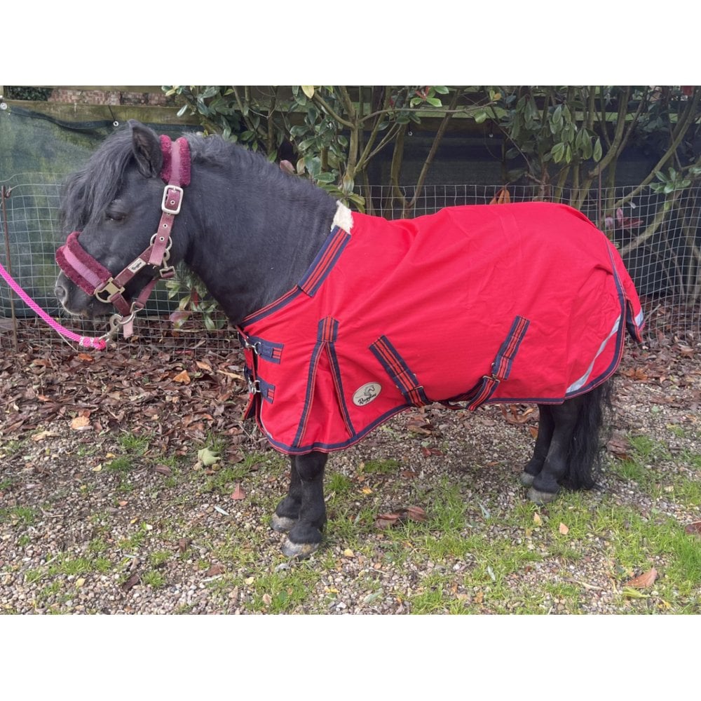 Shetland-Miniature-Donkey-Section A 50g V2 Turnout Rug - Image 13