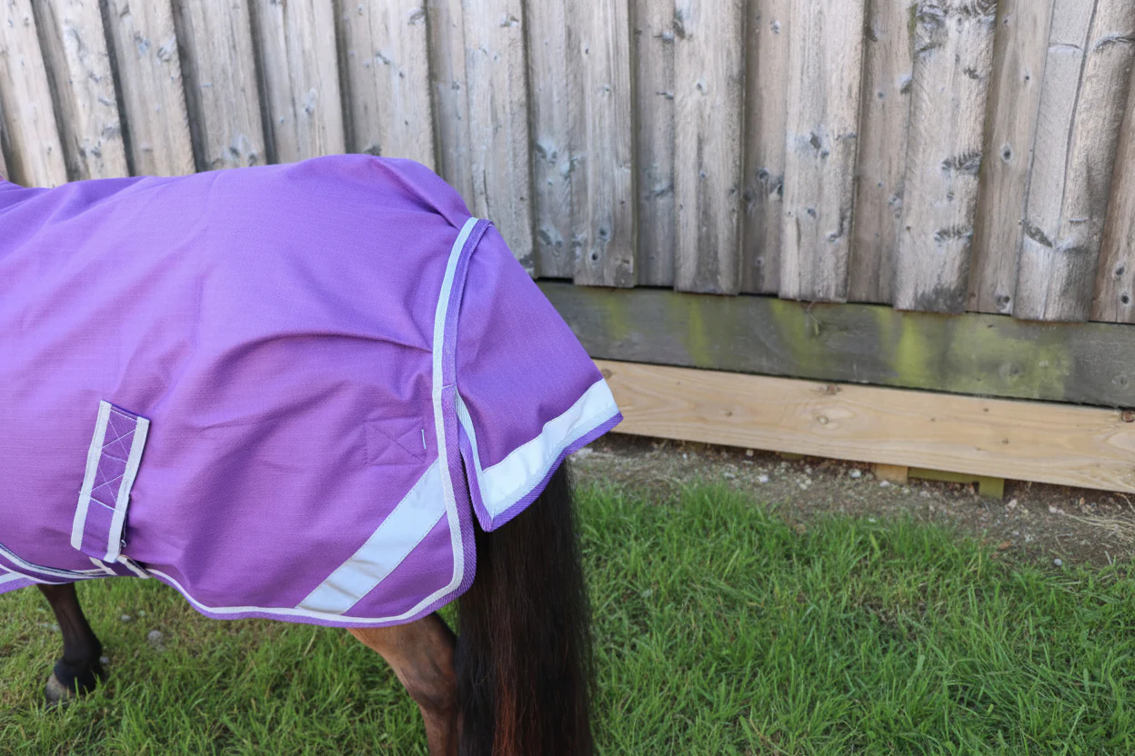 Shetland-Miniature-Donkey-Section A 50g V2 Turnout Rug - Image 16