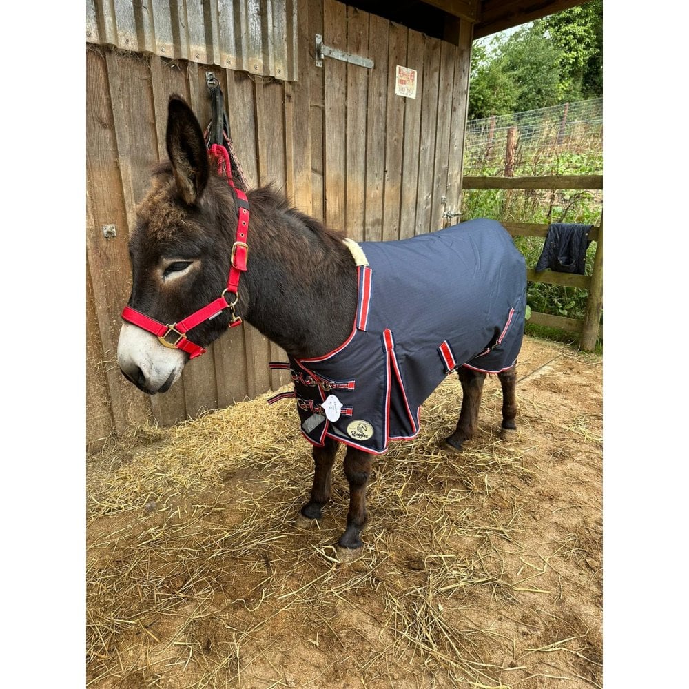 Shetland-Miniature-Donkey-Section A 50g V2 Turnout Rug - Image 8