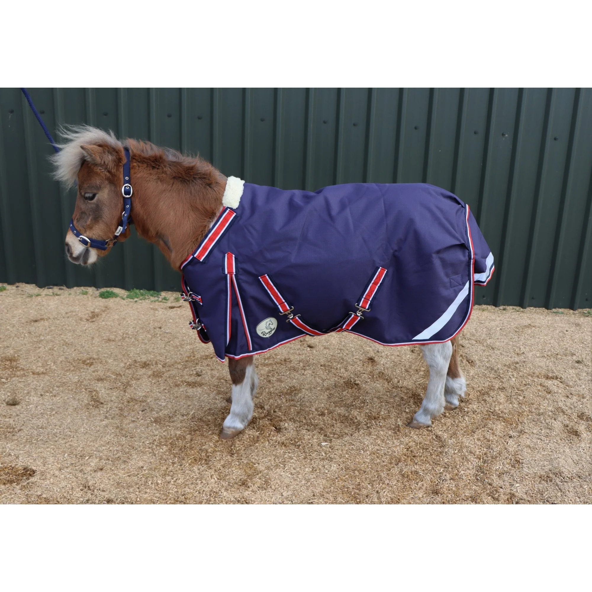 Shetland-Miniature-Donkey-Section A 50g V2 Turnout Rug - Image 9