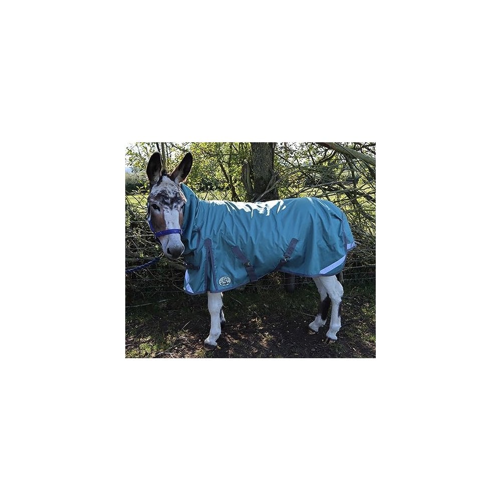 Shetland-Miniature-Donkey-Section A Lightweight No Fill Combo Turnout Rug - Clearance - Image 3
