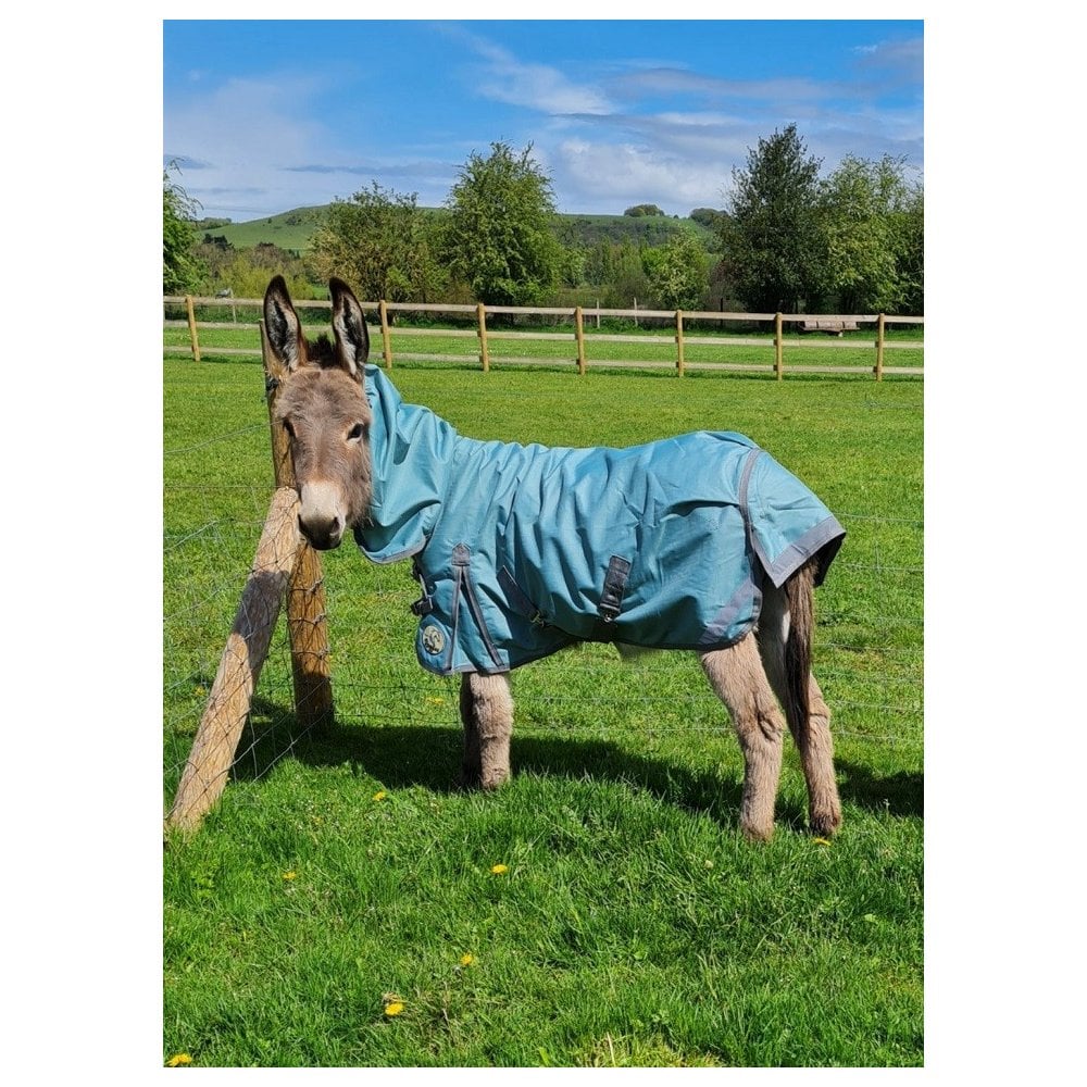 Shetland-Miniature-Donkey-Section A Lightweight No Fill Combo Turnout Rug - Clearance - Image 4