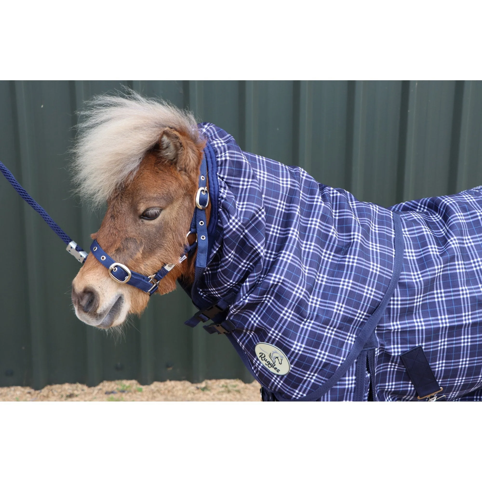 Shetland-Miniature-Donkey-Section A V2 Lightweight No Fill Neck Cover Only (Matching Rug Available Separately) - Image 6