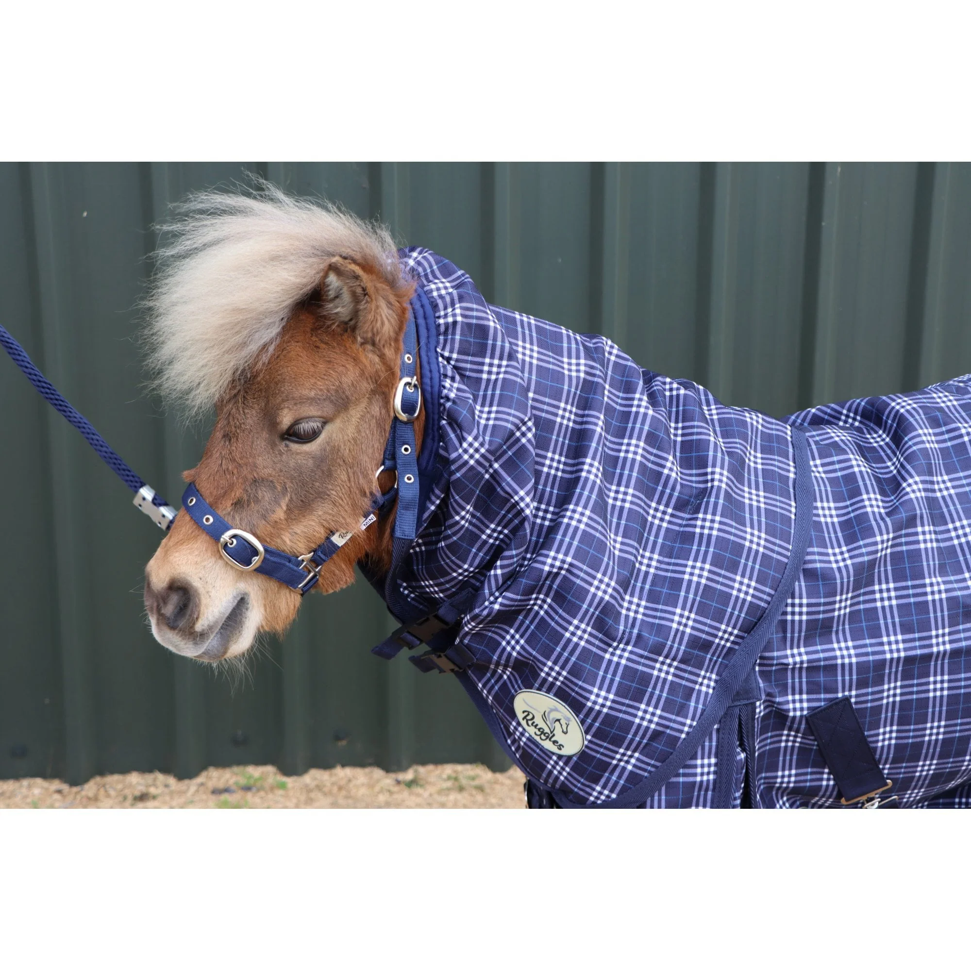 Shetland-Miniature-Donkey-Section A V2 Lightweight No Fill Neck Cover Only (Matching Rug Available Separately) - Image 7