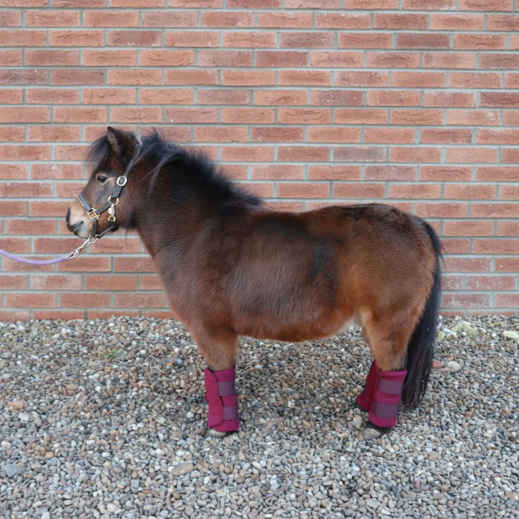 Shetland-Miniature-Donkey Triple Layer Wicking Leg Wrap Set - Burgundy - Image 5