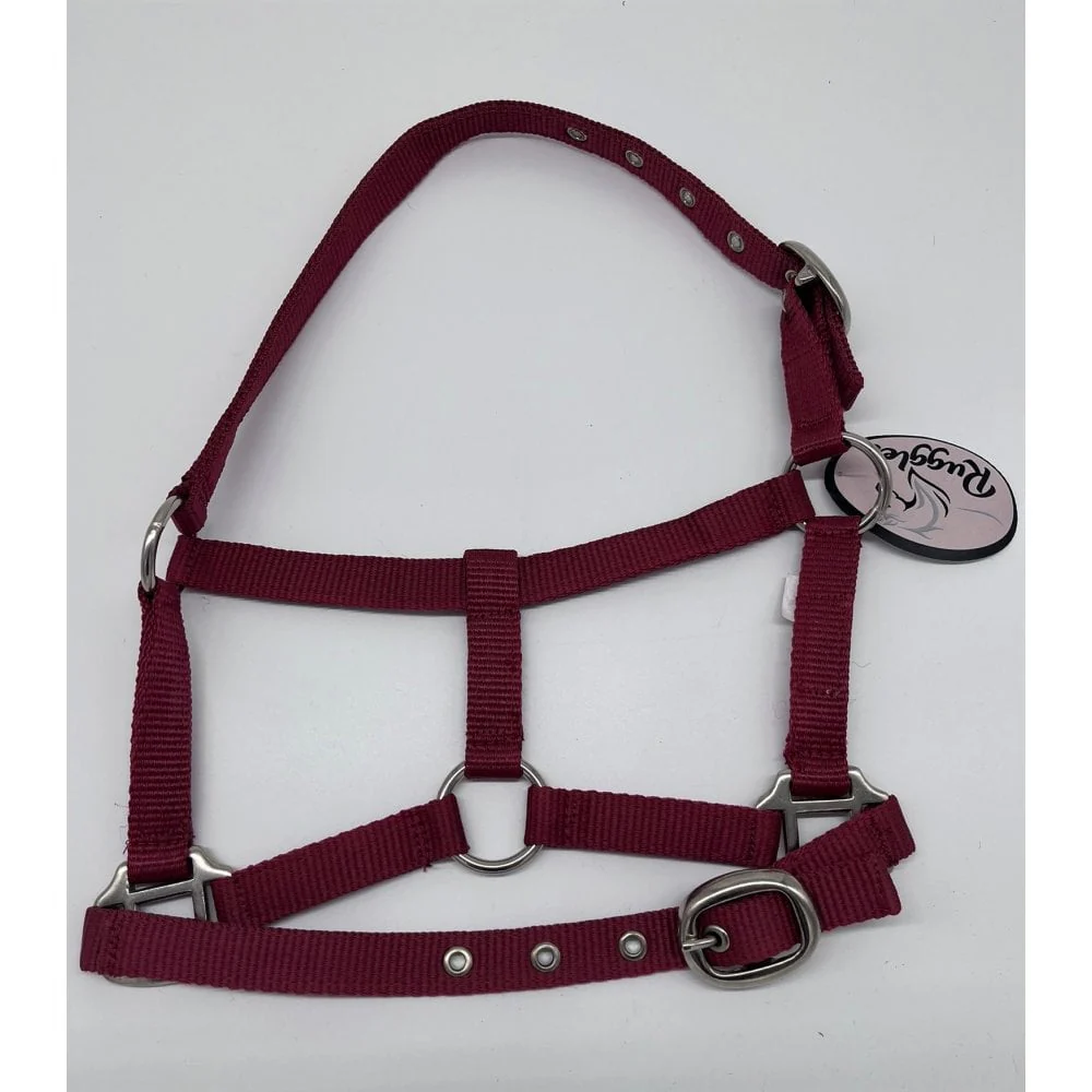 Shetland-Miniature Head Collar 3/4" Webbing - Image 11