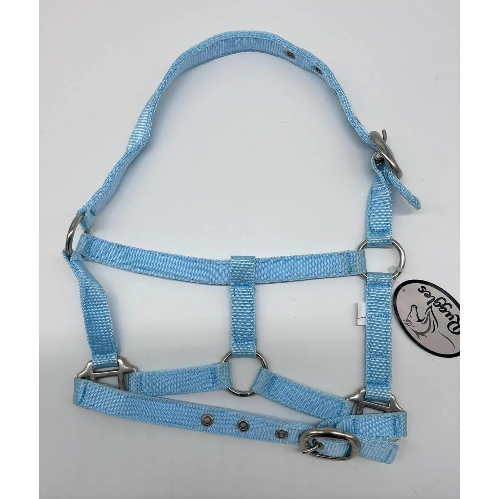 Shetland-Miniature Head Collar 3/4" Webbing - Image 12