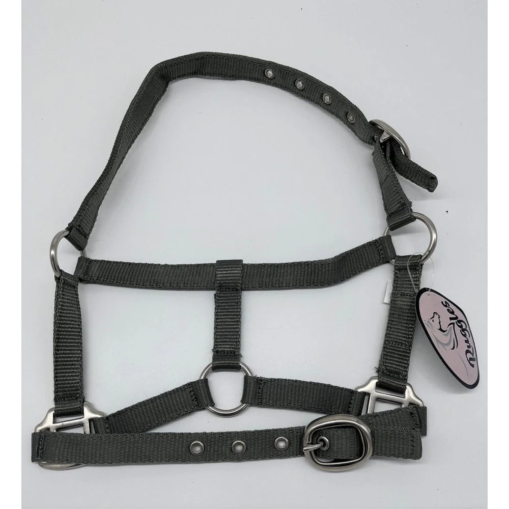 Shetland-Miniature Head Collar 3/4" Webbing - Image 5
