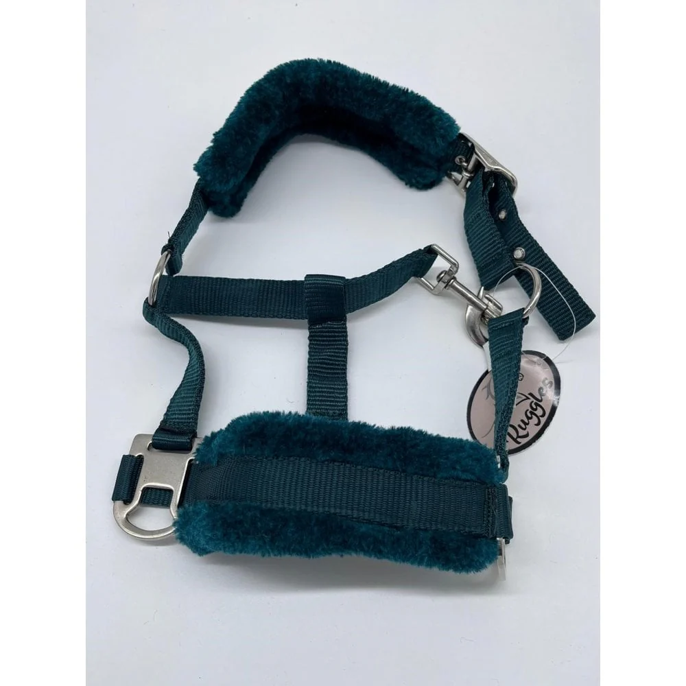 Shetland-Miniature Head Collar With Matching Fur - Image 10