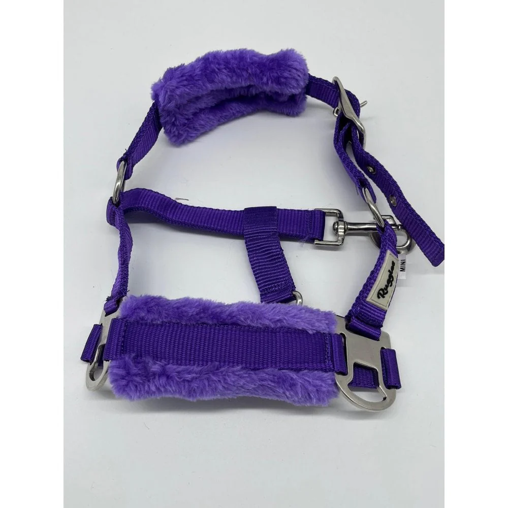 Shetland-Miniature Head Collar With Matching Fur - Image 8