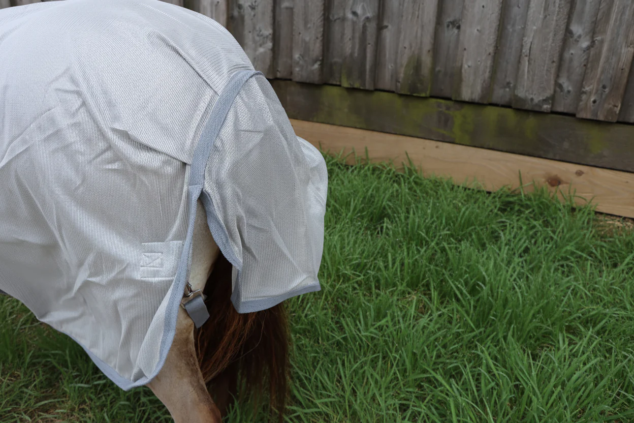 Shetland-Miniature Lightweight Combo Fly Rug  With Ear Holes (160g mesh) - Image 6