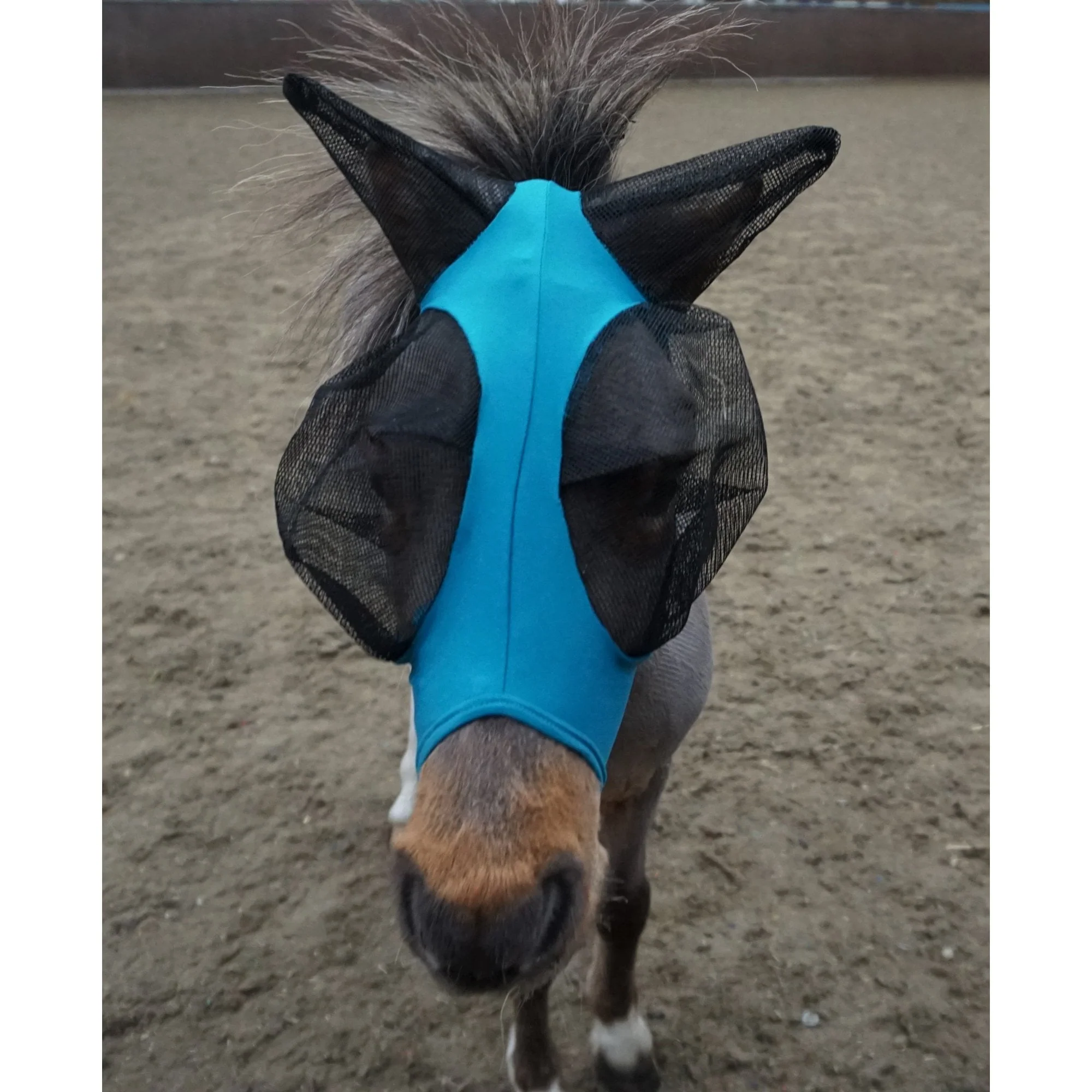 Shetland-Miniature-Section A Pull On Fly Mask With Ears - Image 14