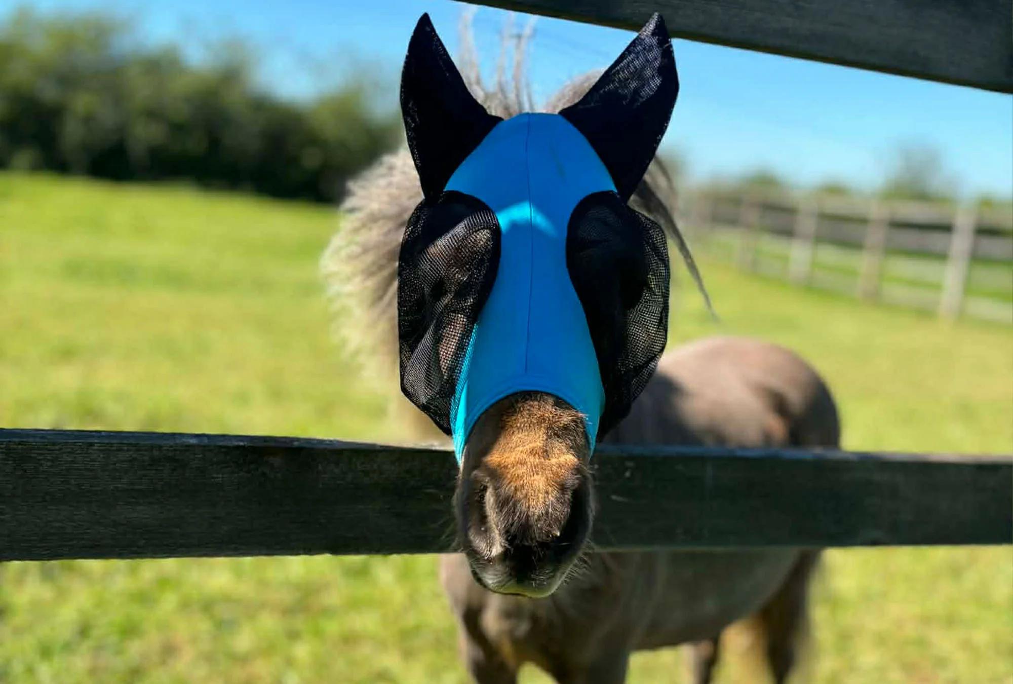 Shetland-Miniature-Section A Pull On Fly Mask With Ears - Image 3
