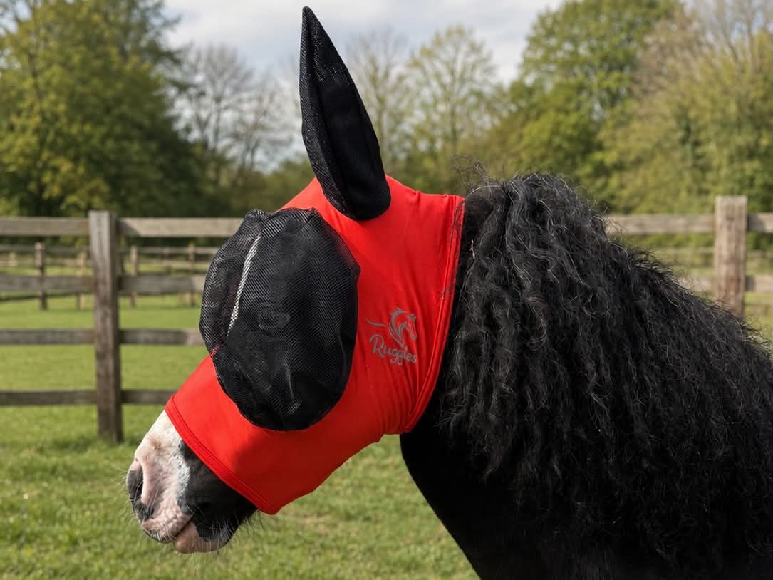 Shetland-Miniature-Section A Pull On Fly Mask With Ears - Image 7