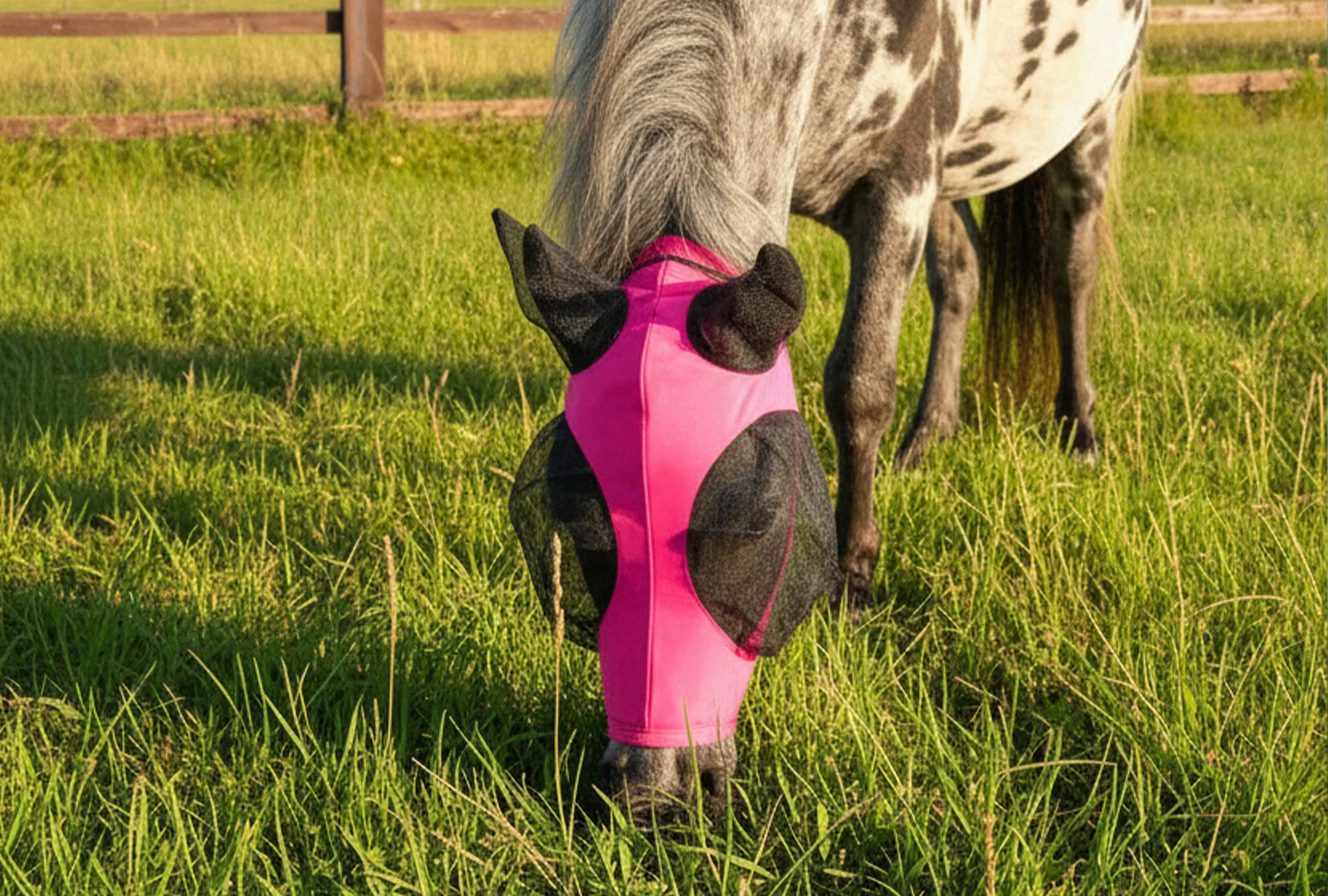 Shetland-Miniature-Section A Pull On Fly Mask With Ears - Image 8