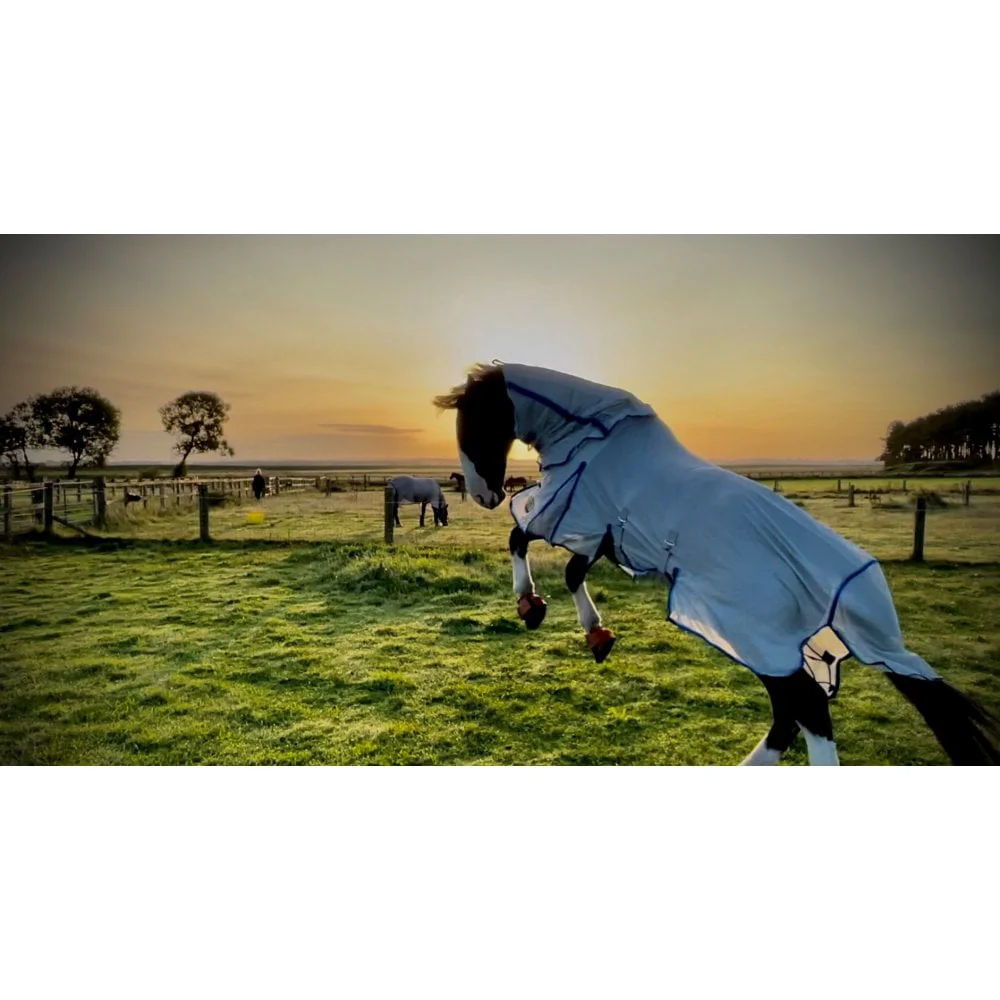 Standard Fly Rug With Detachable Neck - Image 4