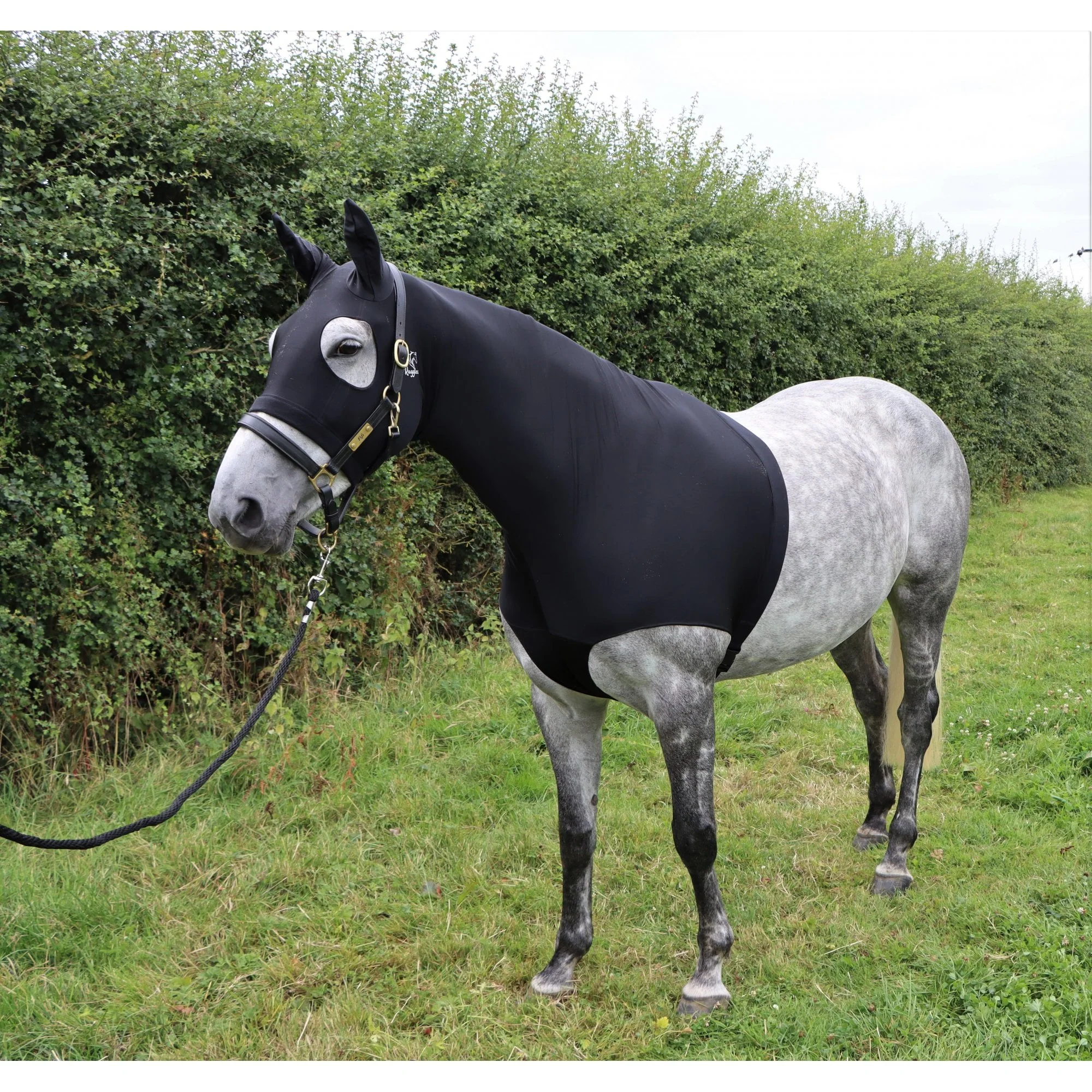 Water Repellent Lycra Hood With Zip - Image 3
