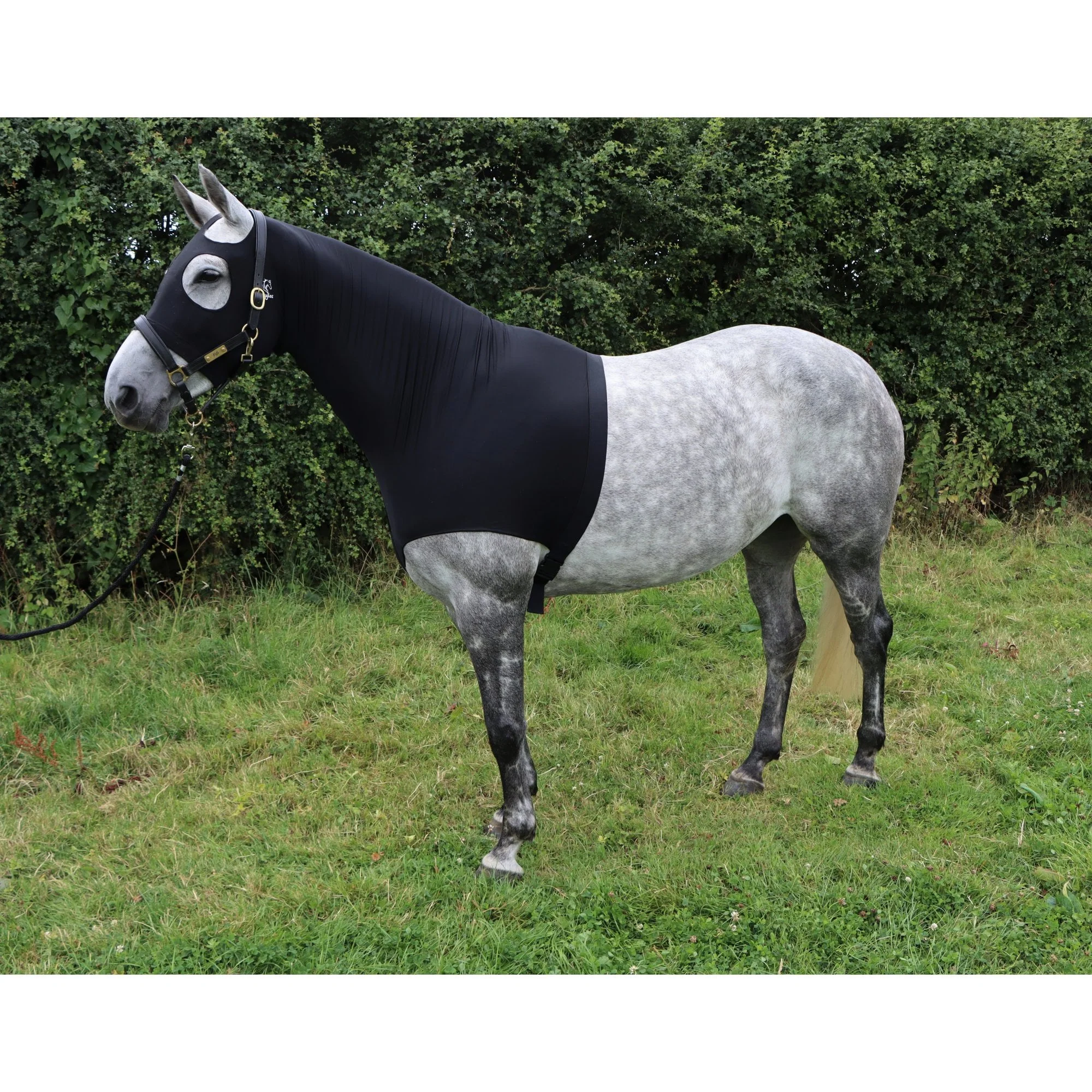 Water Repellent Lycra Hood With Zip - Image 5