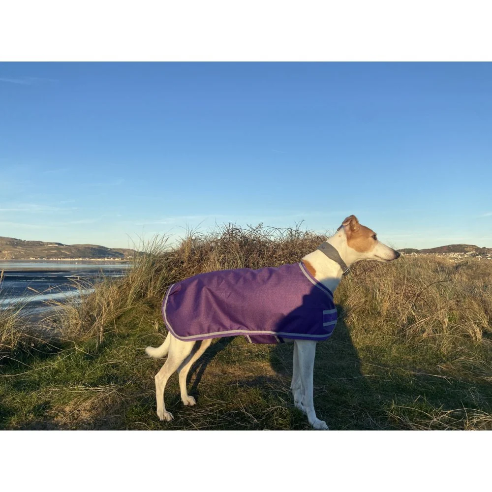 Waterproof Dog Coat - Purple / Aqua Spots - Image 3