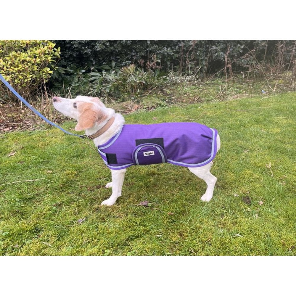 Waterproof Dog Coat - Purple / Aqua Spots - Image 4