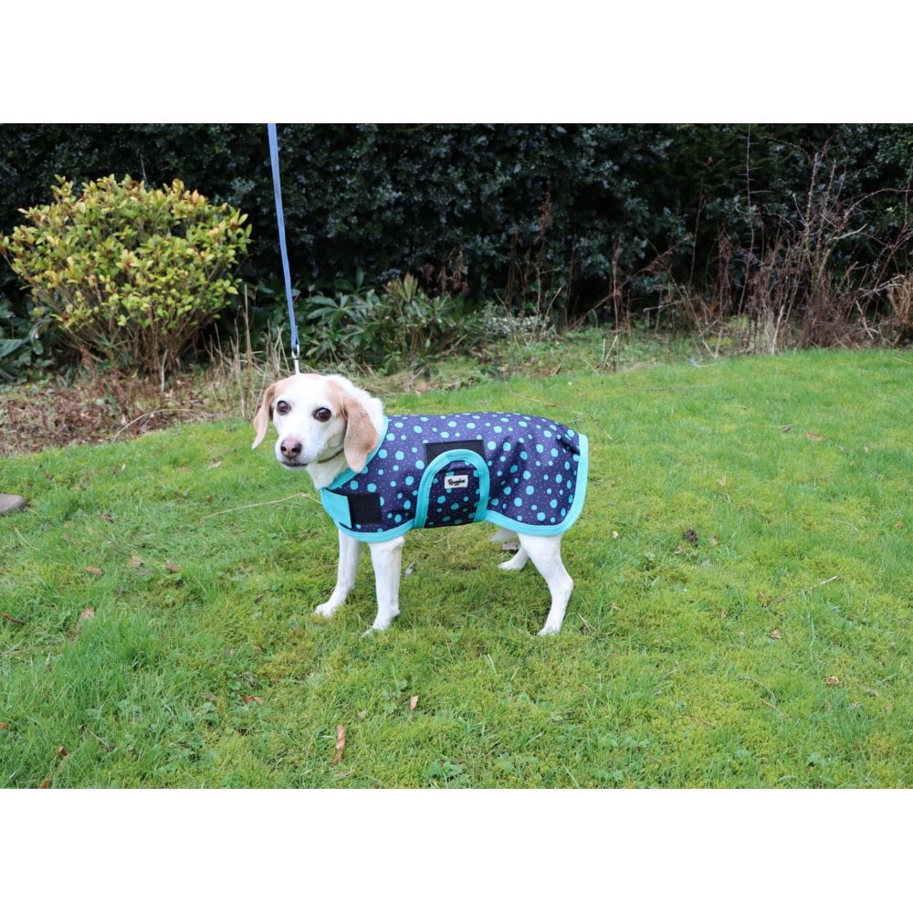 Waterproof Dog Coat - Purple / Aqua Spots - Image 6