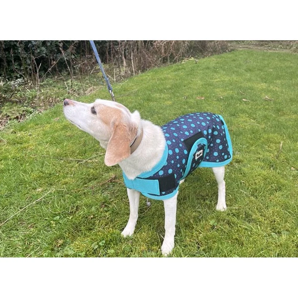 Waterproof Dog Coat - Purple / Aqua Spots - Image 7