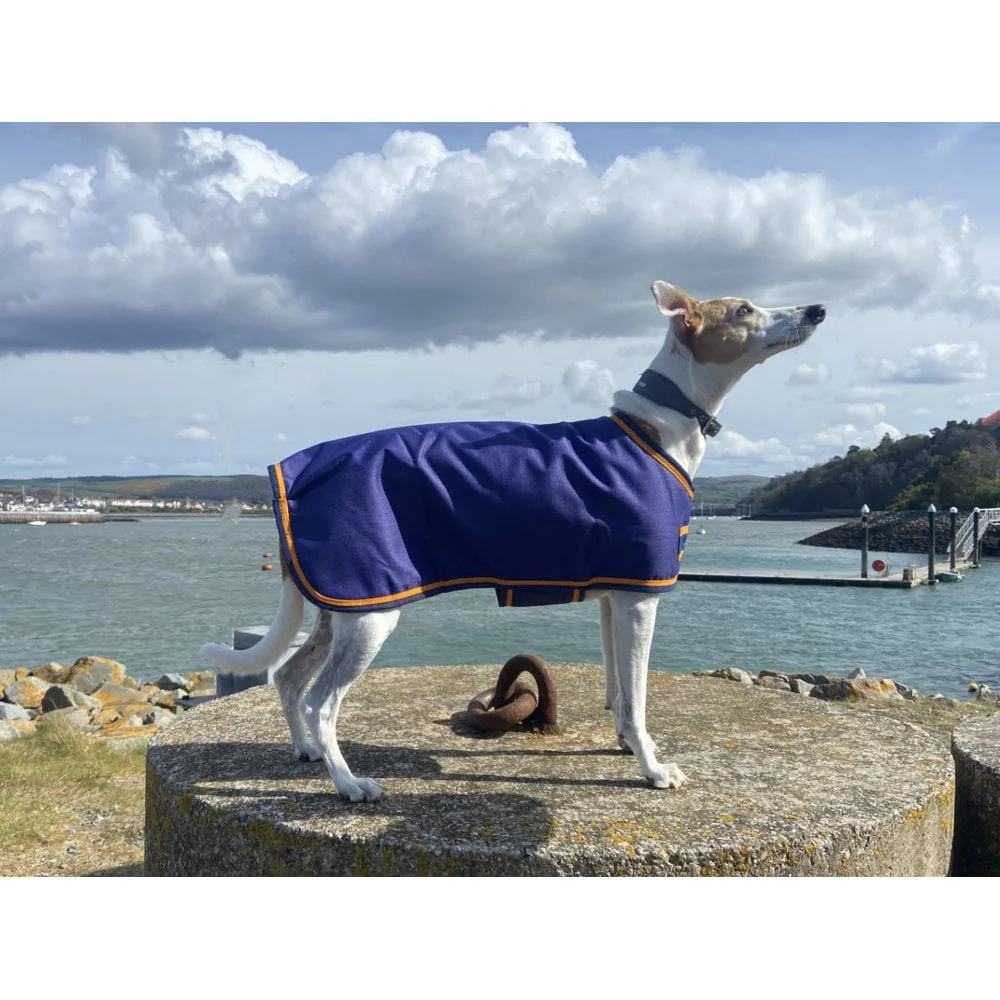 Waterproof Dog Coat - Image 3