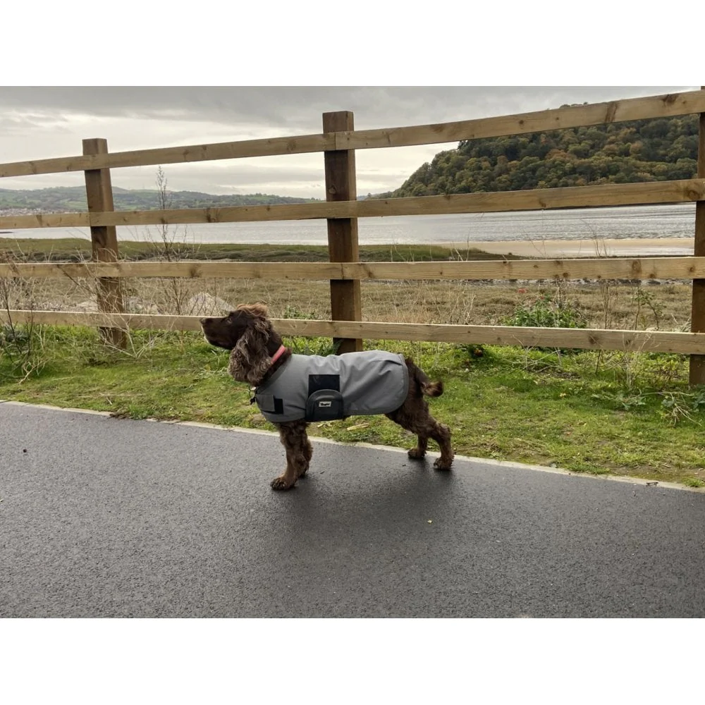 Waterproof Dog Coat - Image 4