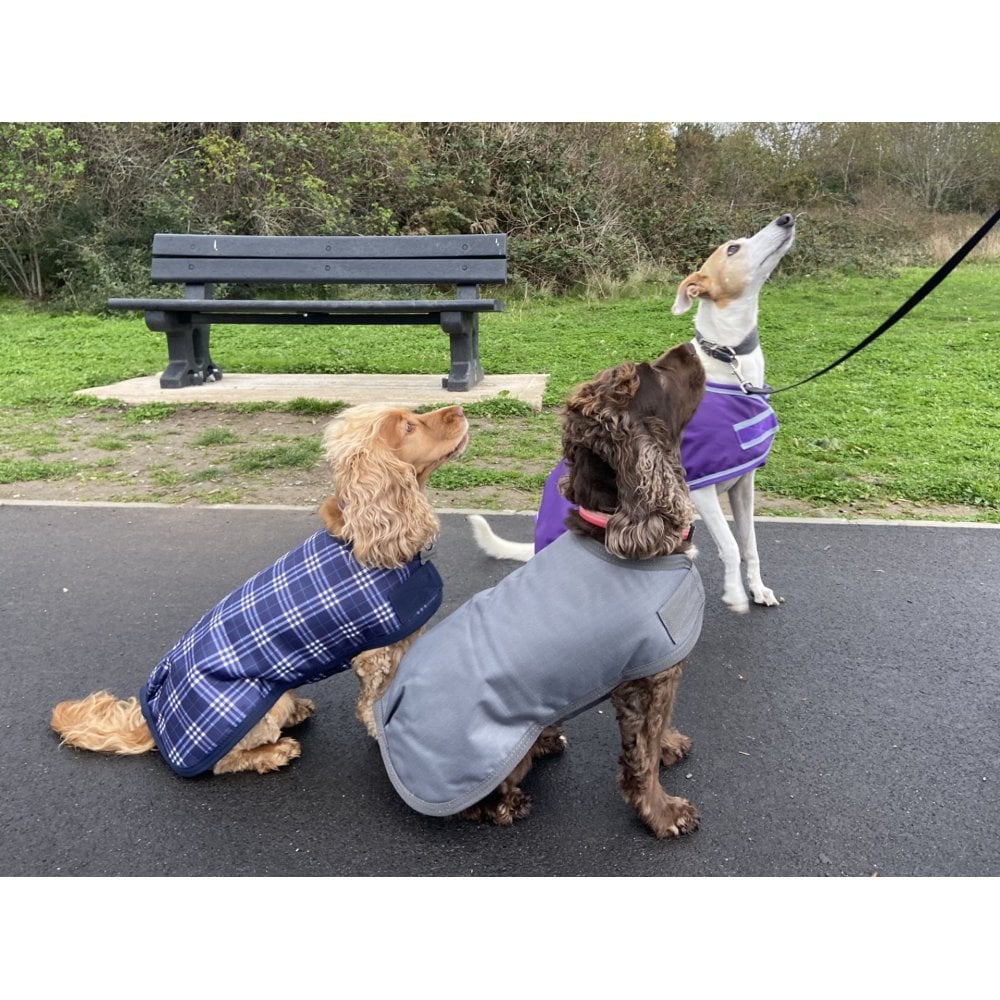 Waterproof Dog Coat - Image 5